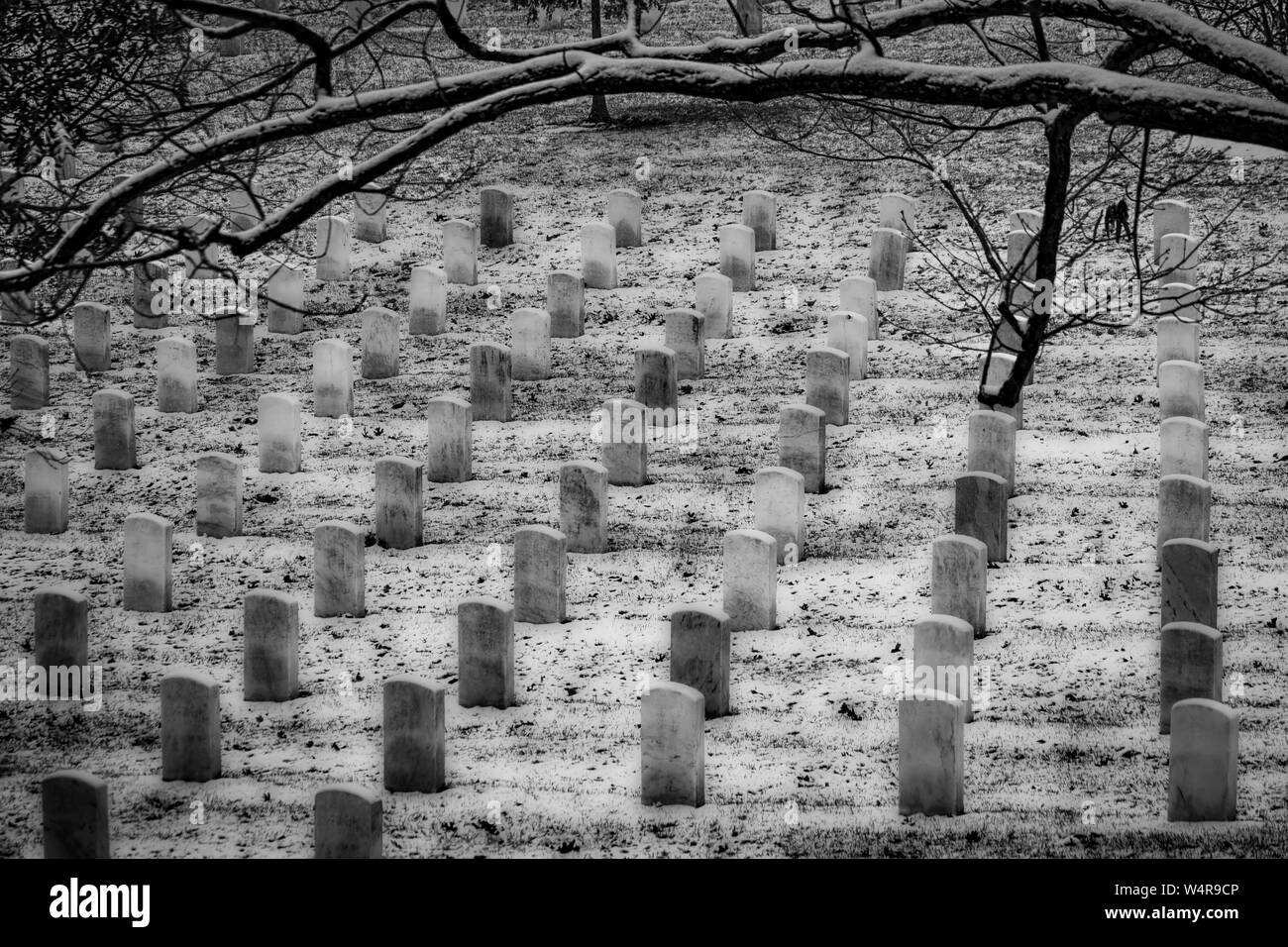 Caduta di neve fresca in un Virginia del Nord del cimitero. Foto Stock