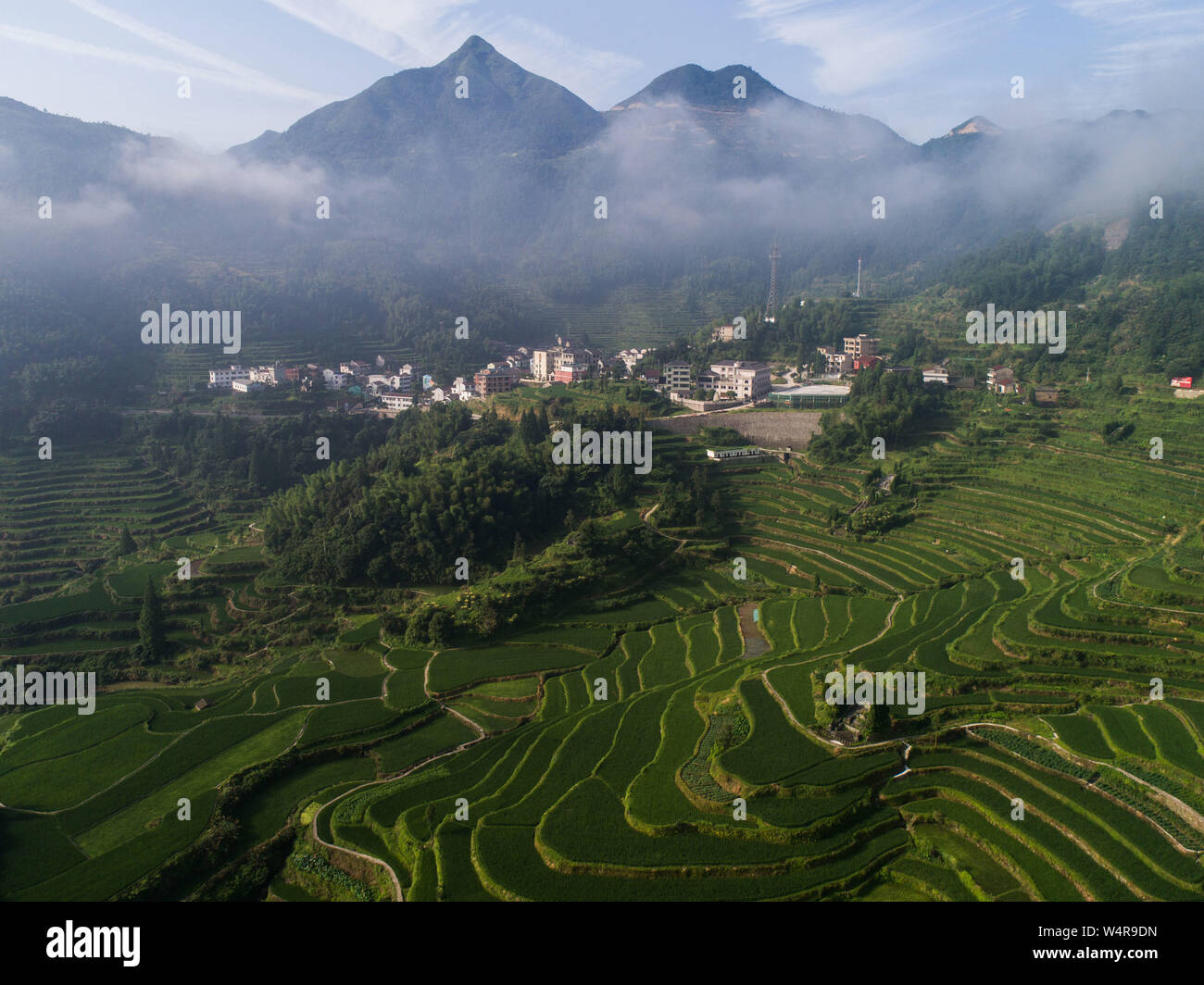 (190725) -- QINGTIAN, luglio 25, 2019 (Xinhua) -- Foto aeree prese sulla luglio 25, 2019 Mostra campi terrazzati dove gli allevatori di pesce di razza, in Xiaozhoushan township di Qingtian County, est della Cina di Provincia dello Zhejiang. Dal 2013, seguendo il principio di sviluppo di colore verde, le autorità locali sono state dando piena giocare a oltre 4000 um (circa 267 ettari) campi terrazzati. Facendo affidamento sull'agricoltura con una storia di oltre mille anni, Qingtian county promuove l'integrazione dell'agricoltura, del turismo e della cultura per sviluppare l'agricoltura sostenibile e la campagna di turismo e di incrementare il reddito degli agricoltori. (Xinhua/Xu Yu) Foto Stock