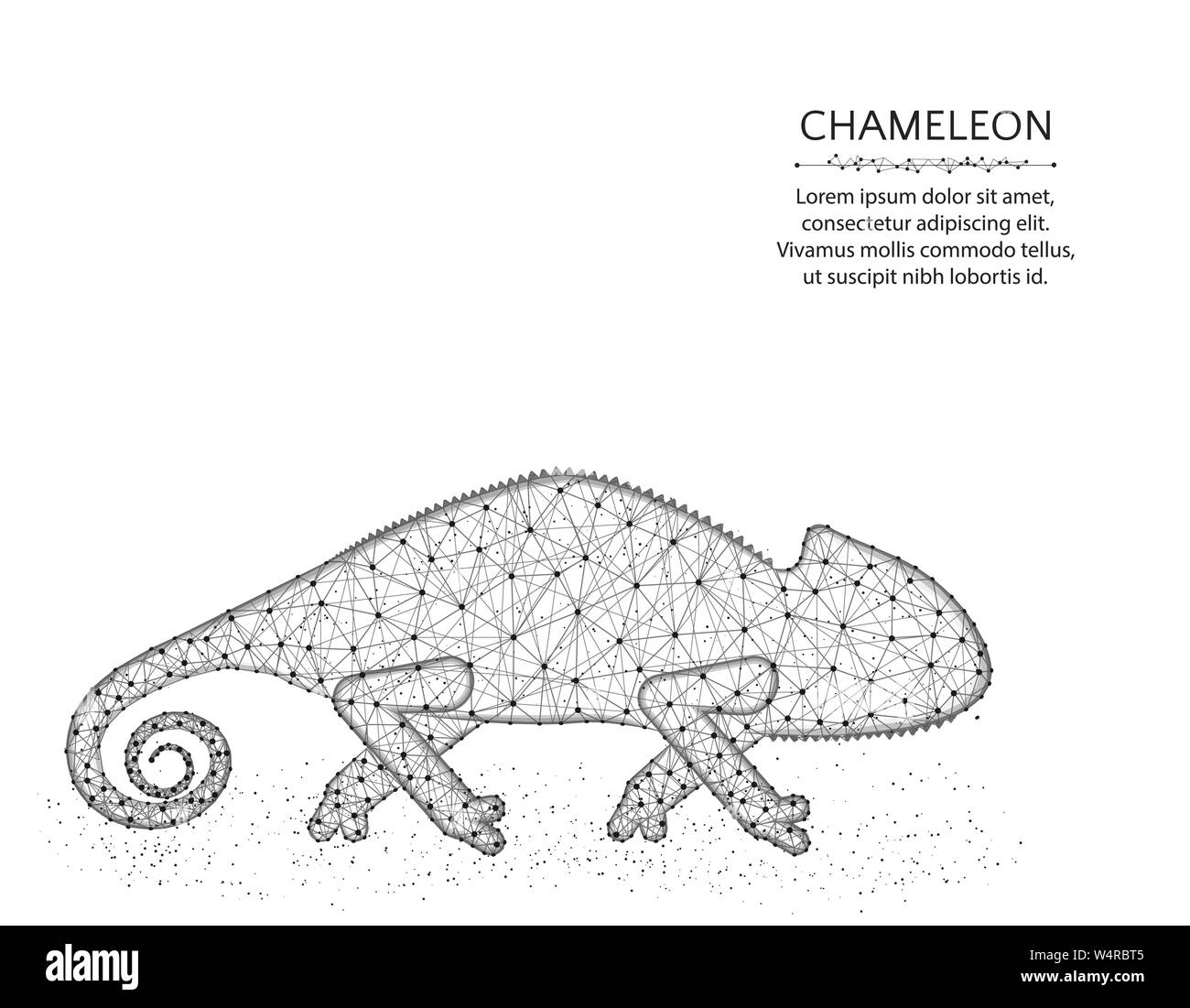 Lizard chameleon bassa poli design, animale africano grafica astratta, rettile wireframe poligonale illustrazione vettoriale costituito da punti e linee su un wh Illustrazione Vettoriale