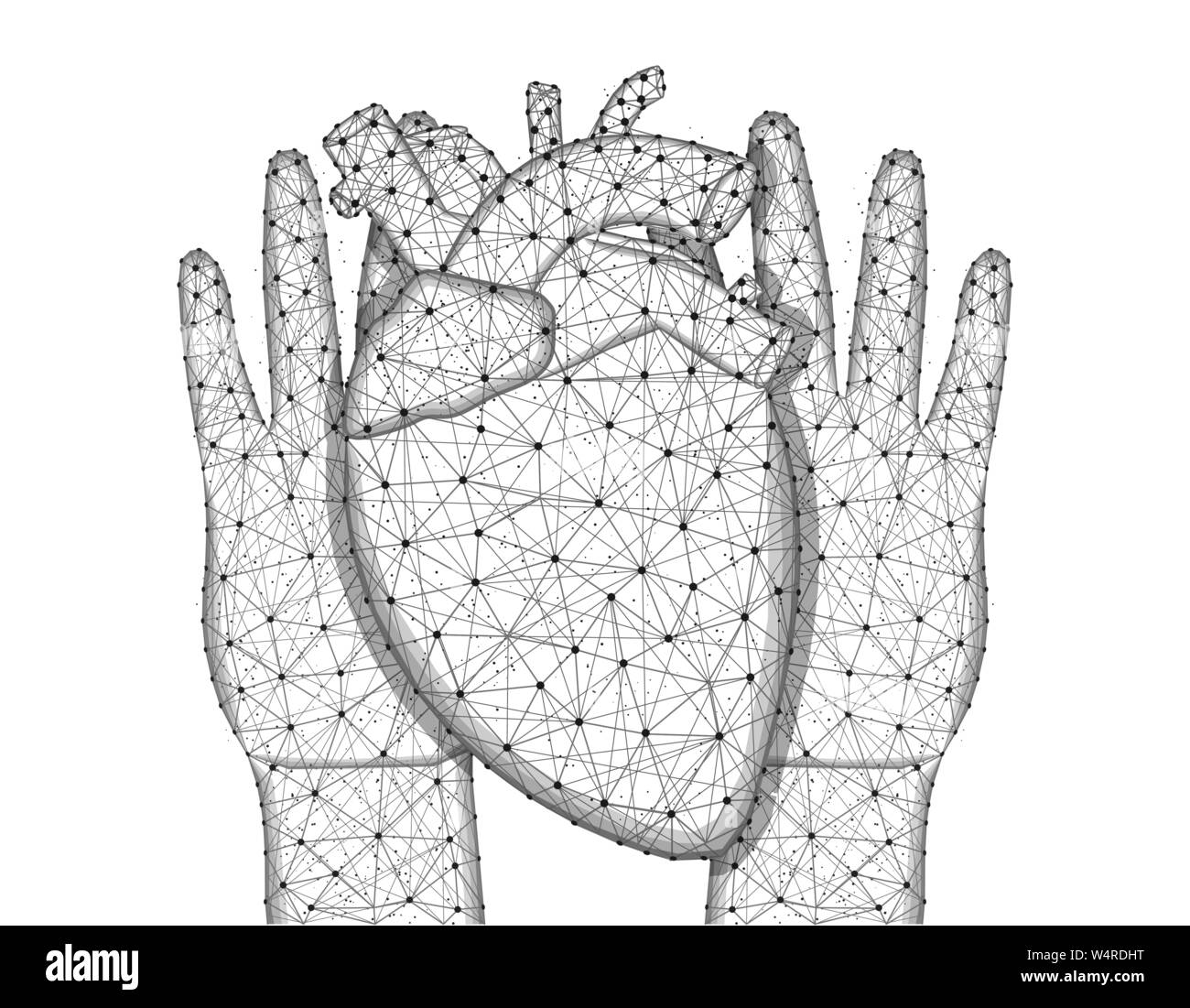 Le mani e il cuore umano a bassa poli design, organo umano in stile poligonale, cardiologia wireframe illustrazione vettoriale costituito da punti e linee su un bianco Illustrazione Vettoriale