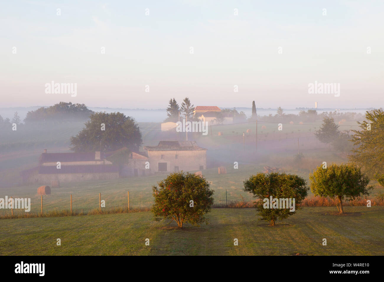 Edifici agricoli in Duras Francia meridionale su un precoce estati nebbioso giorno. Foto Stock