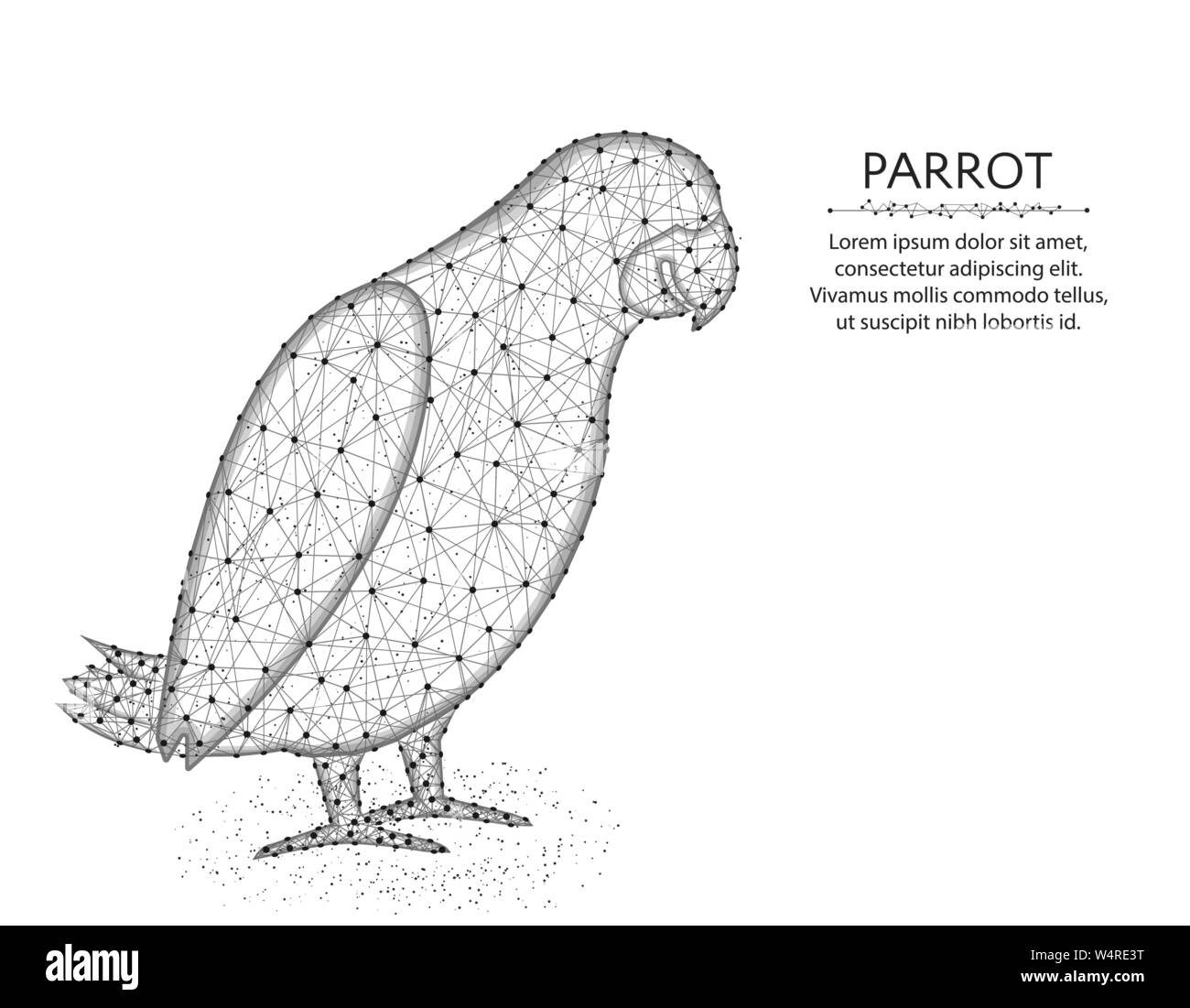 Jaco parrot bassa poli design, animale africano grafica astratta, uccello wireframe poligonale illustrazione vettoriale costituito da punti e linee su un retro bianco Illustrazione Vettoriale