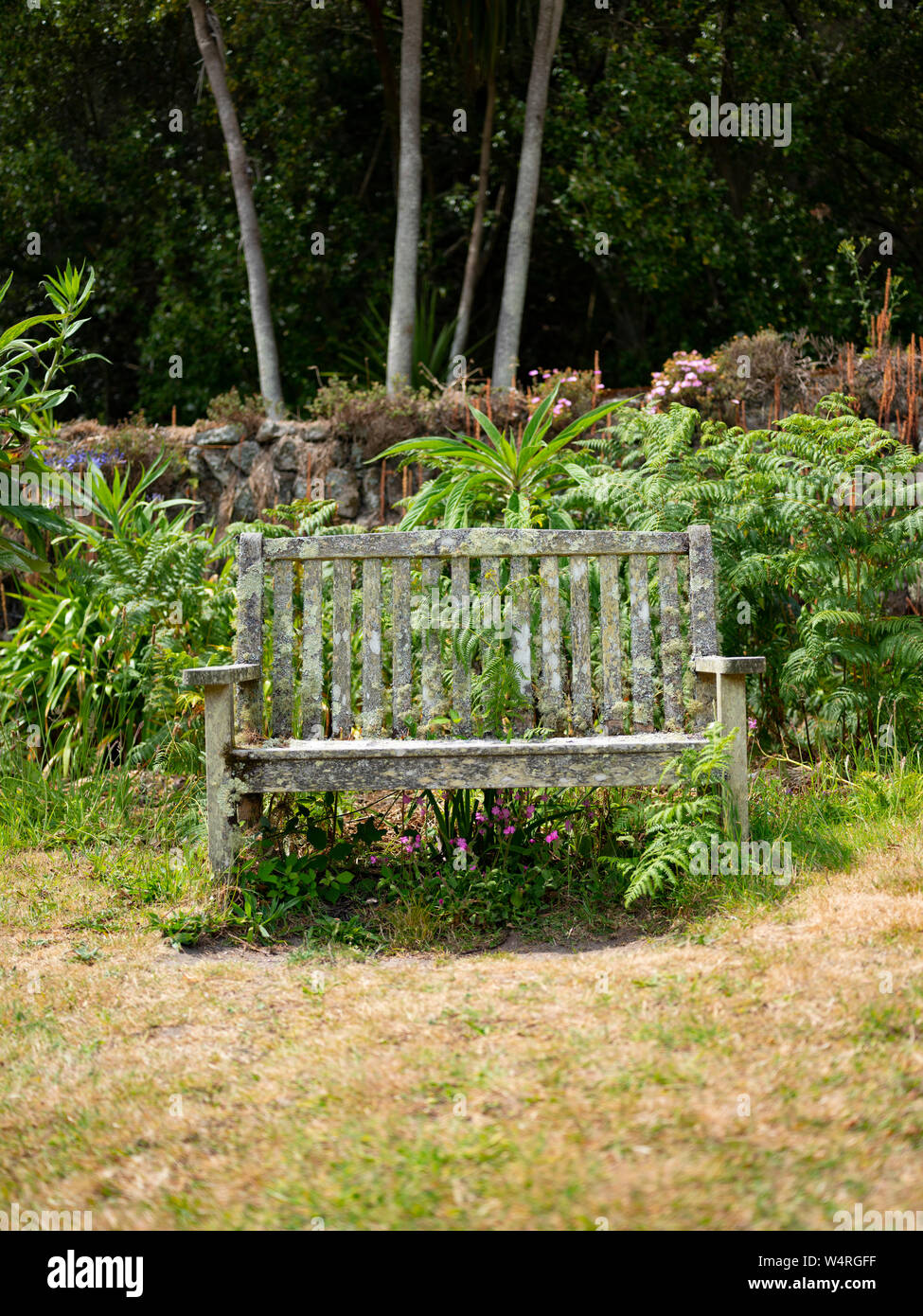 Tresco Abbey giardino, isole Scilly, UK. Foto Stock