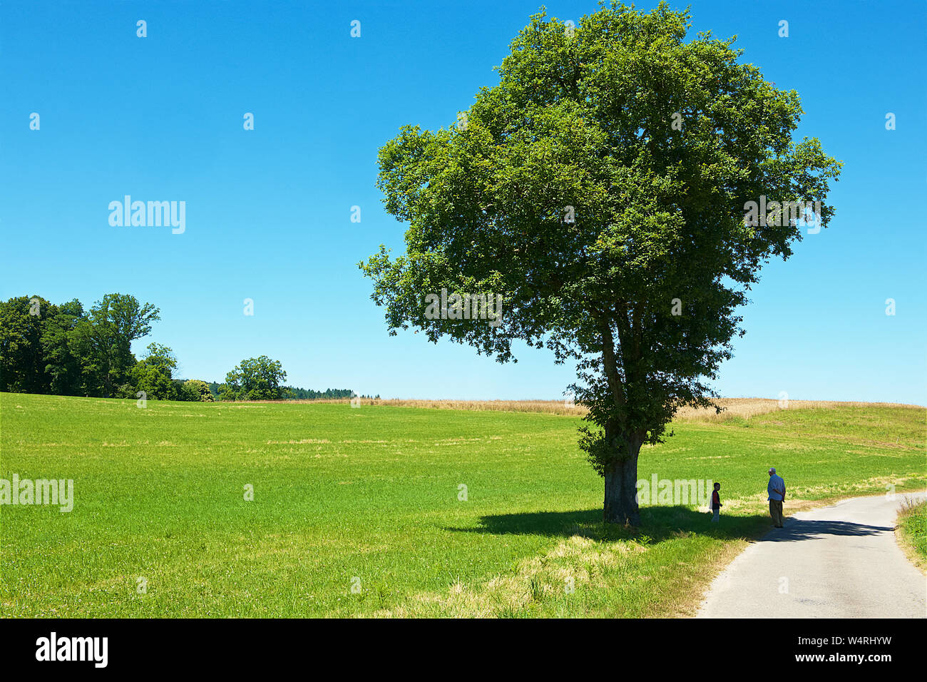 Due persone in piedi in ombra di albero su strada nel campo in erba, Francia Foto Stock