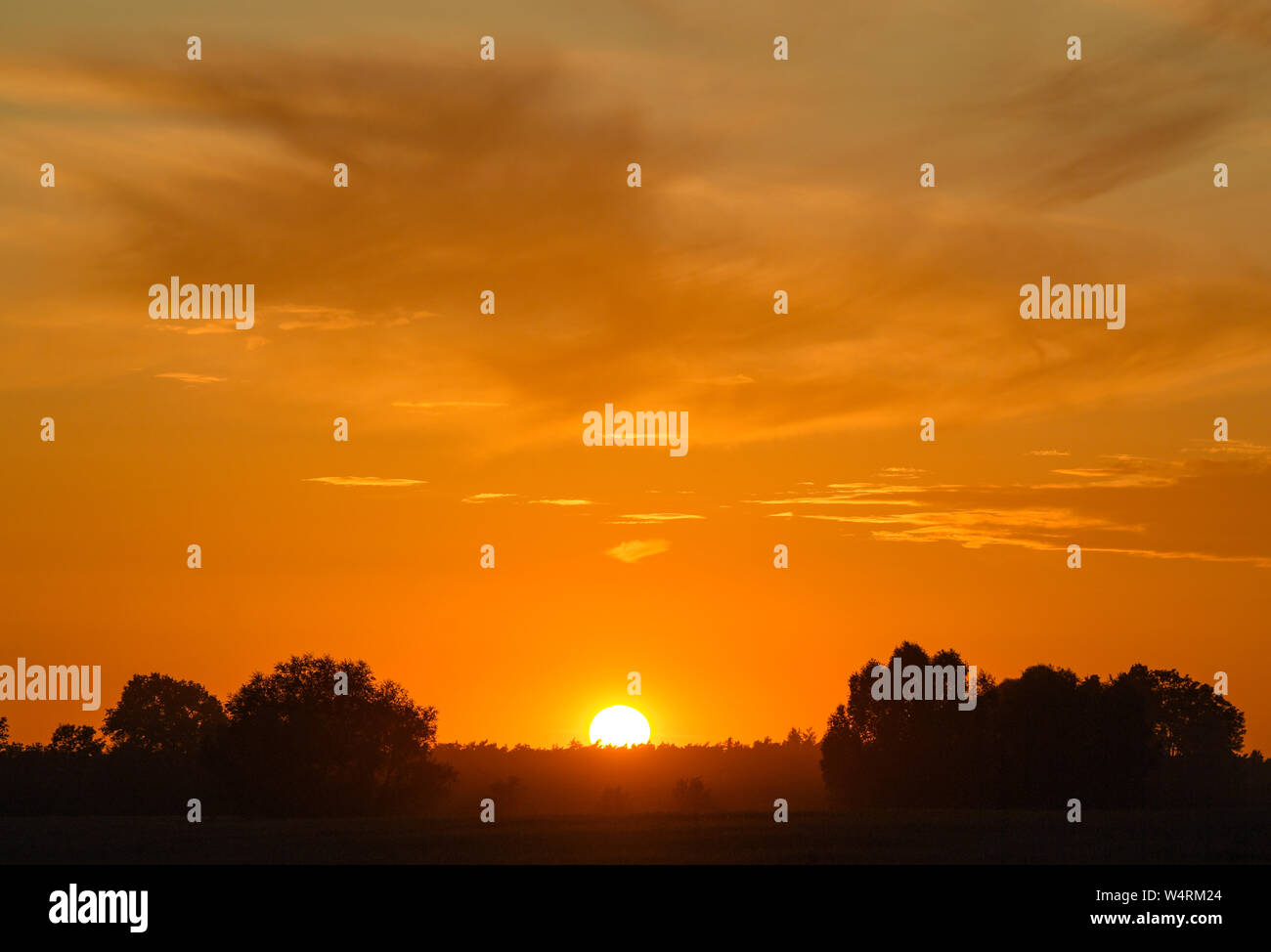 24 luglio 2019, il Land Brandeburgo, Petersdorf: Sunset over Brandeburgo su questo caldo giorno d'estate. Foto: Patrick Pleul/dpa-Zentralbild/ZB Foto Stock
