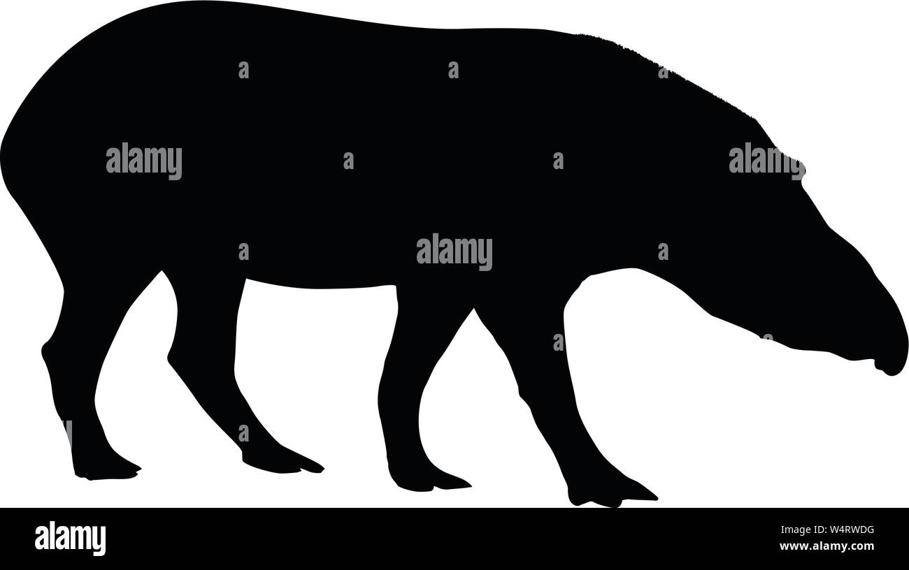 Il tapiro Silhouette vettore isolato su sfondo bianco Illustrazione Vettoriale