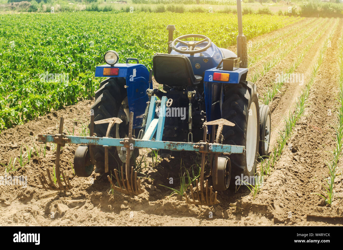 Cherson, Ucraina - 30 Giugno 2019: un trattore aratri un porro in un campo. Arare il terreno. Protezione di erbaccia. Fattoria stagionali di lavoro. Colture agricole. Agricoltura, fa Foto Stock