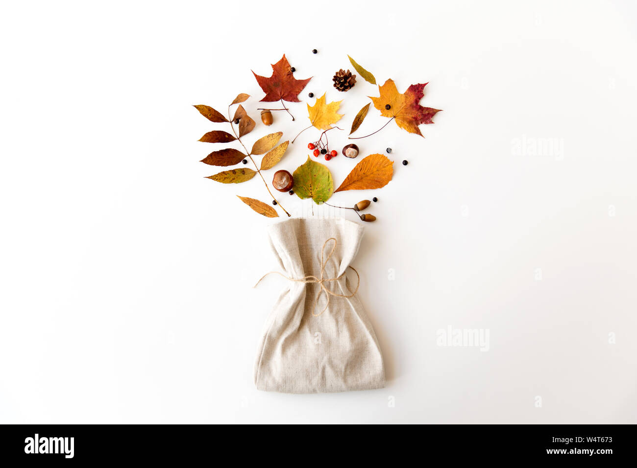 Foglie di autunno, castagne, ghiande di bacche e di borsa Foto Stock