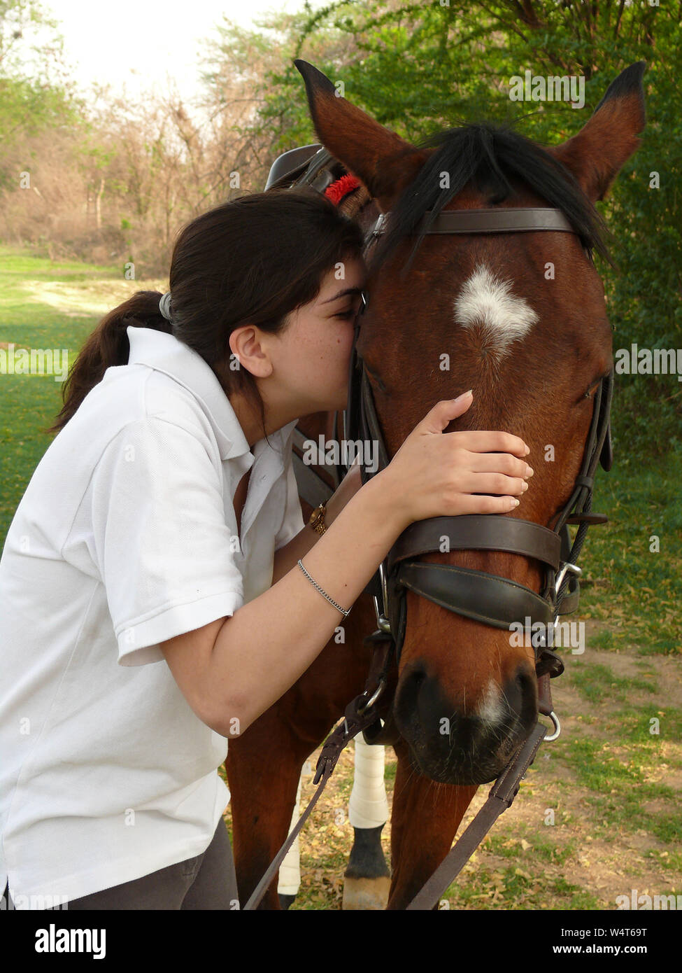 Giovane donna baciare il suo cavallo Foto Stock
