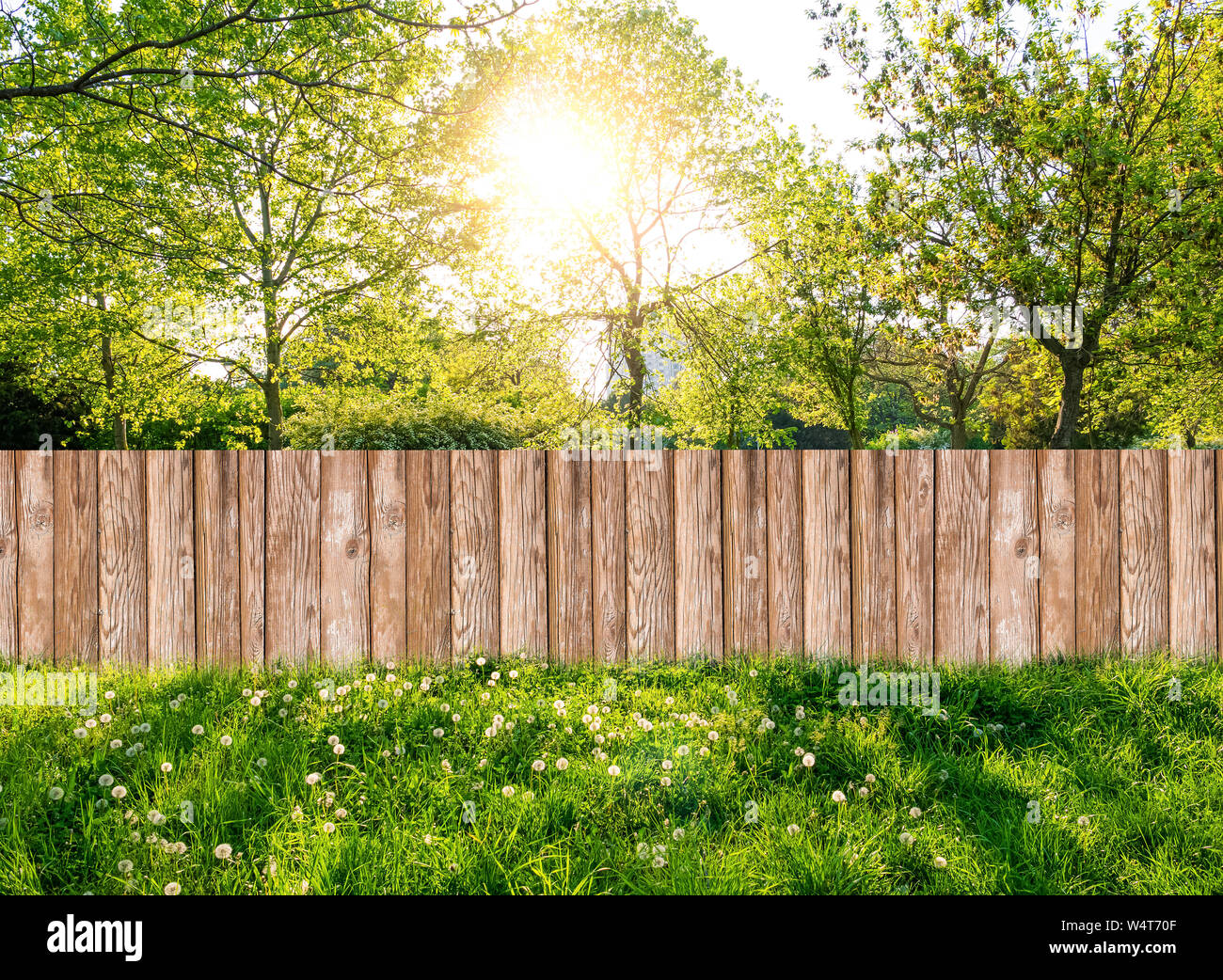 Giardino in legno recinzione al cortile in primavera Foto Stock