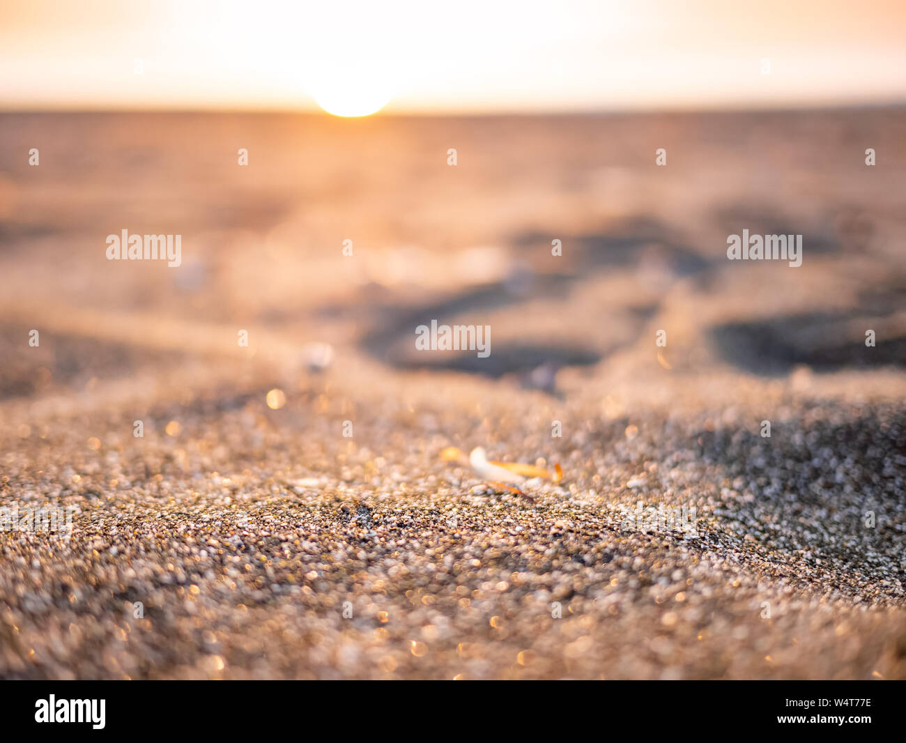 Le dune di sabbia e sfocata spiaggia tropicale al tramonto Foto Stock