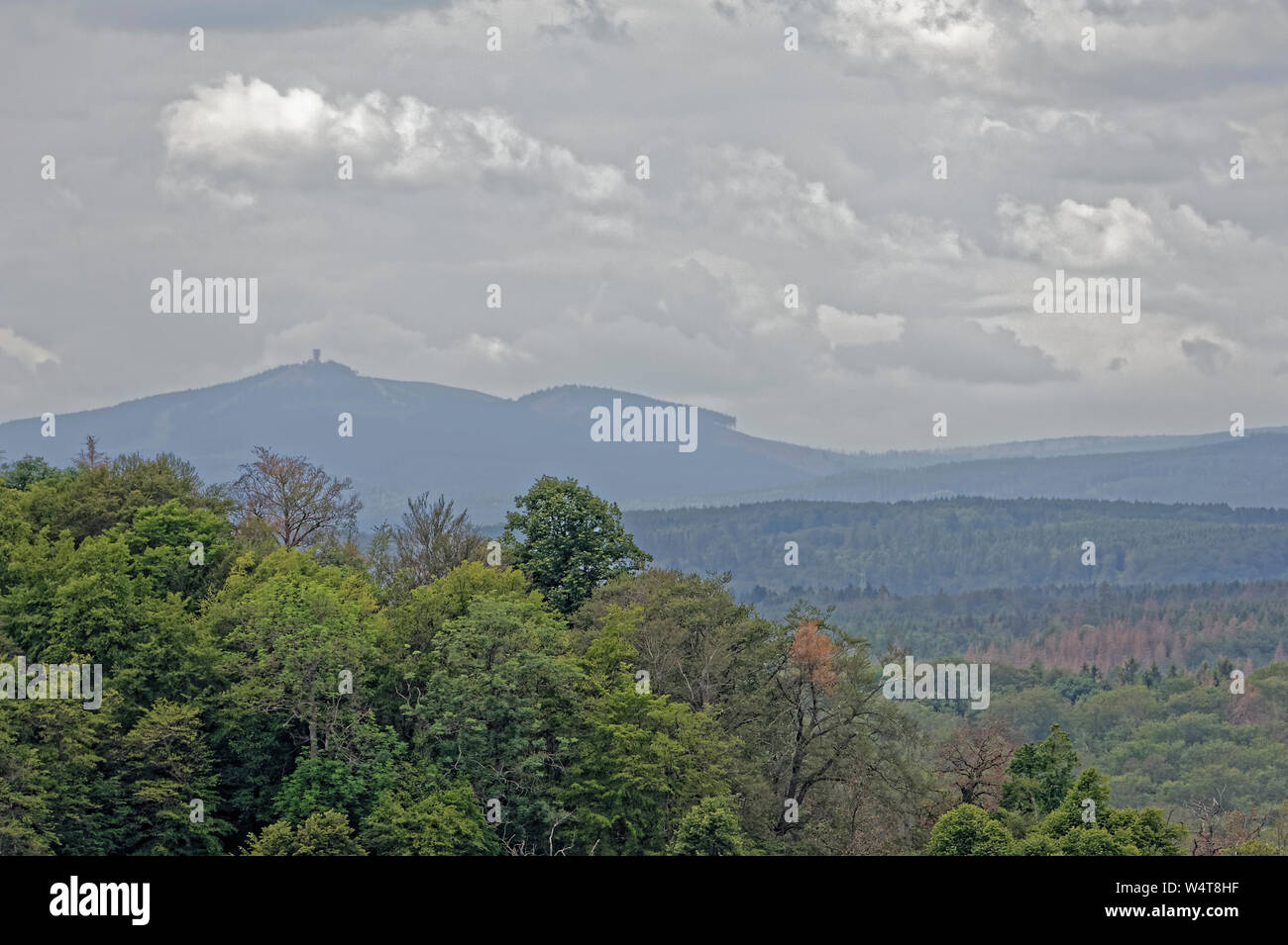 La Falconeria Eulenwelt-Falkenhof- Harz,Güntersberge,Sassonia Anhalt,Germania. Foto Stock