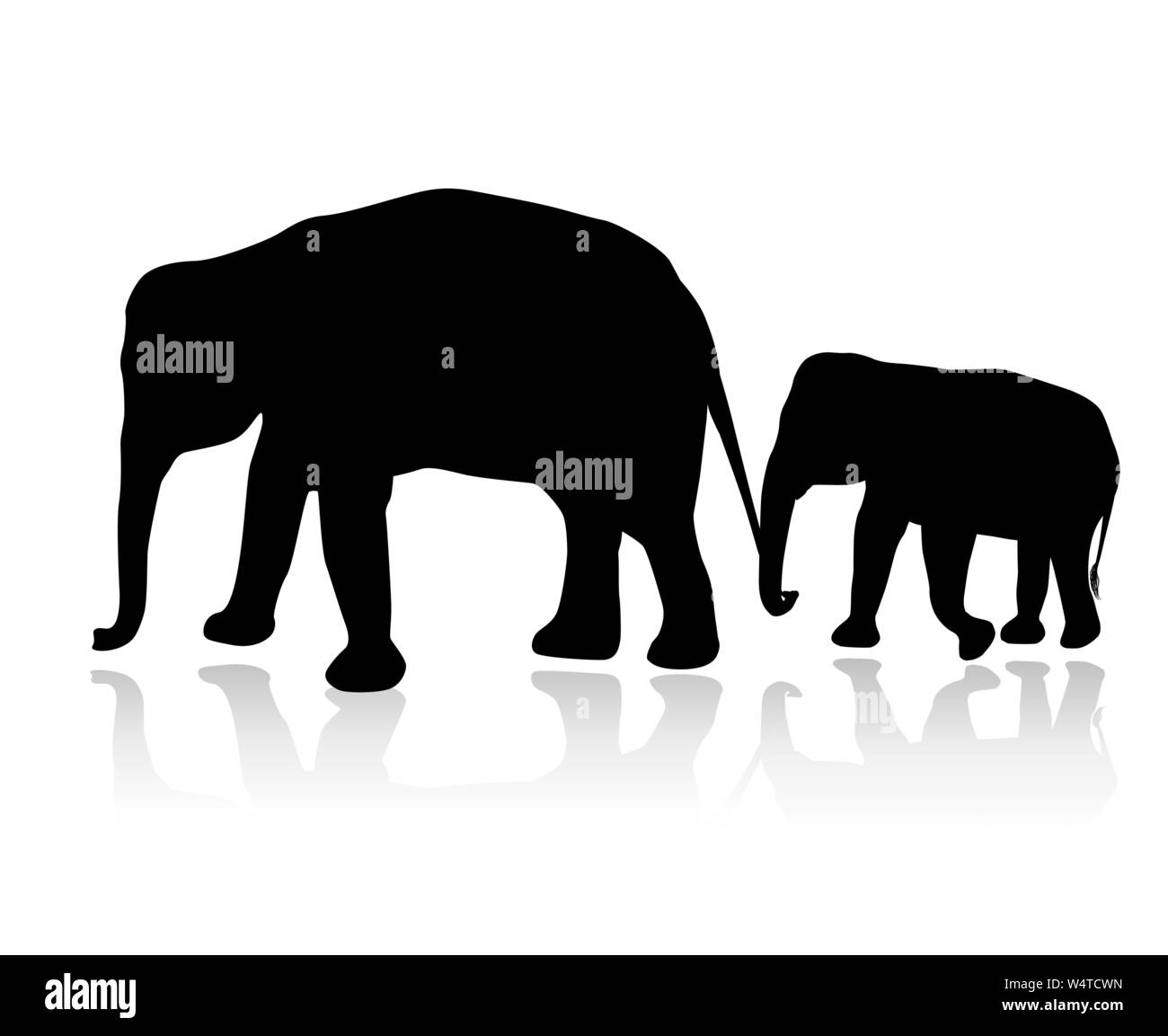 Famiglia di elefante silhouette isolati su sfondo bianco vettore Illustrazione Vettoriale