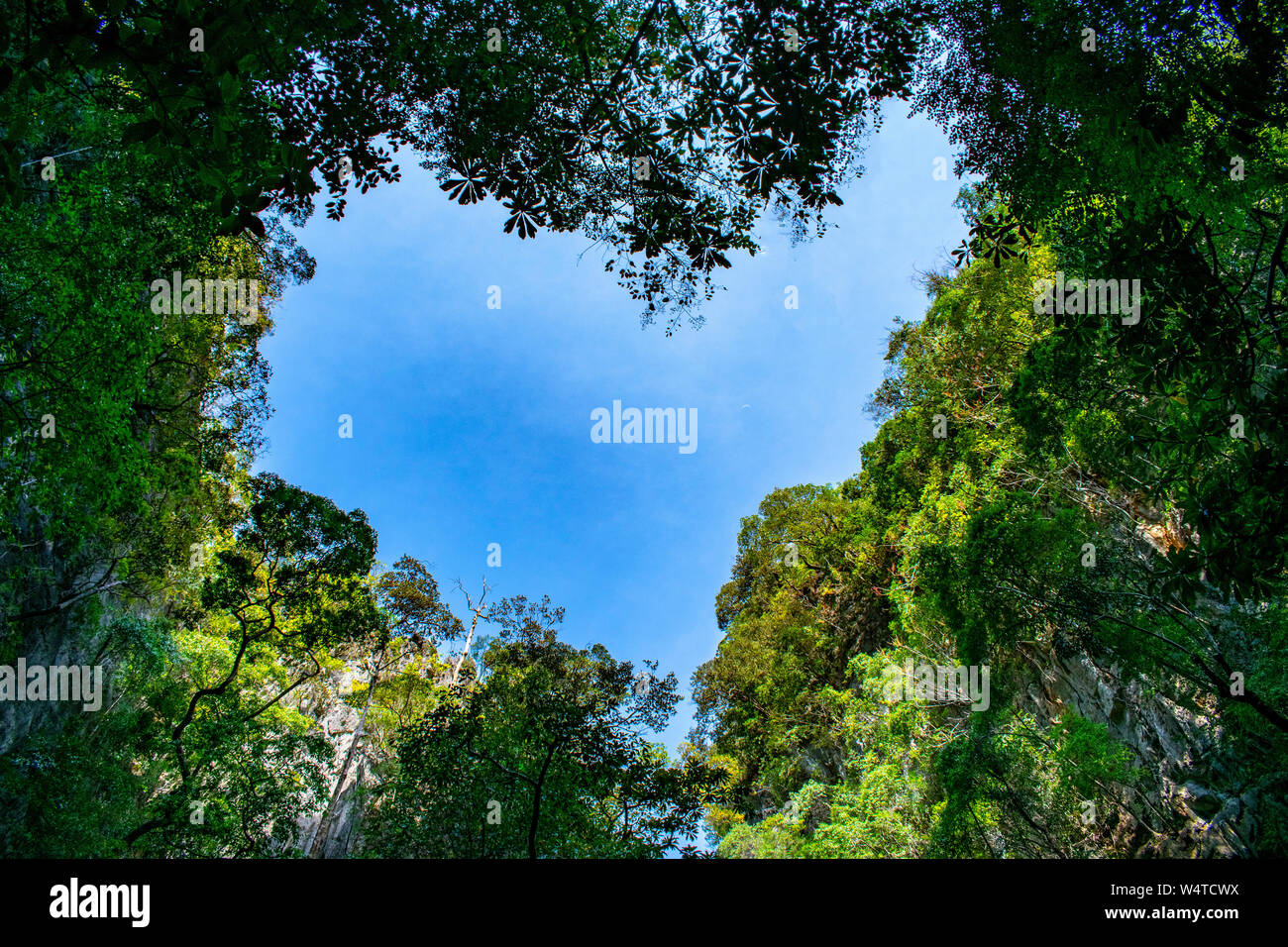 A forma di cuore Foto Stock