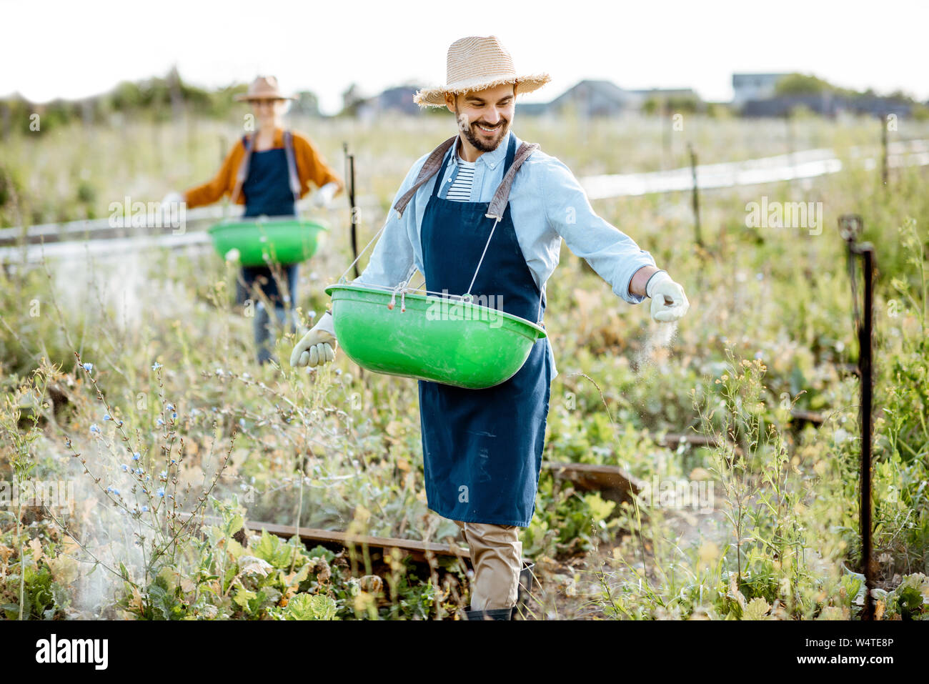 Due ben vestito gli agricoltori alimentazione di lumache, camminando sul campo con buskets verde e la polverizzazione di alimentazione. Concetto di allevamento di lumache per mangiare Foto Stock