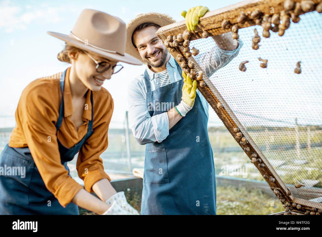 Ritratto di due ben vestito agricoltori che le lumache fresche dalle reti per vendere in una fattoria all'aperto. Concetto di allevamento di lumache per mangiare Foto Stock