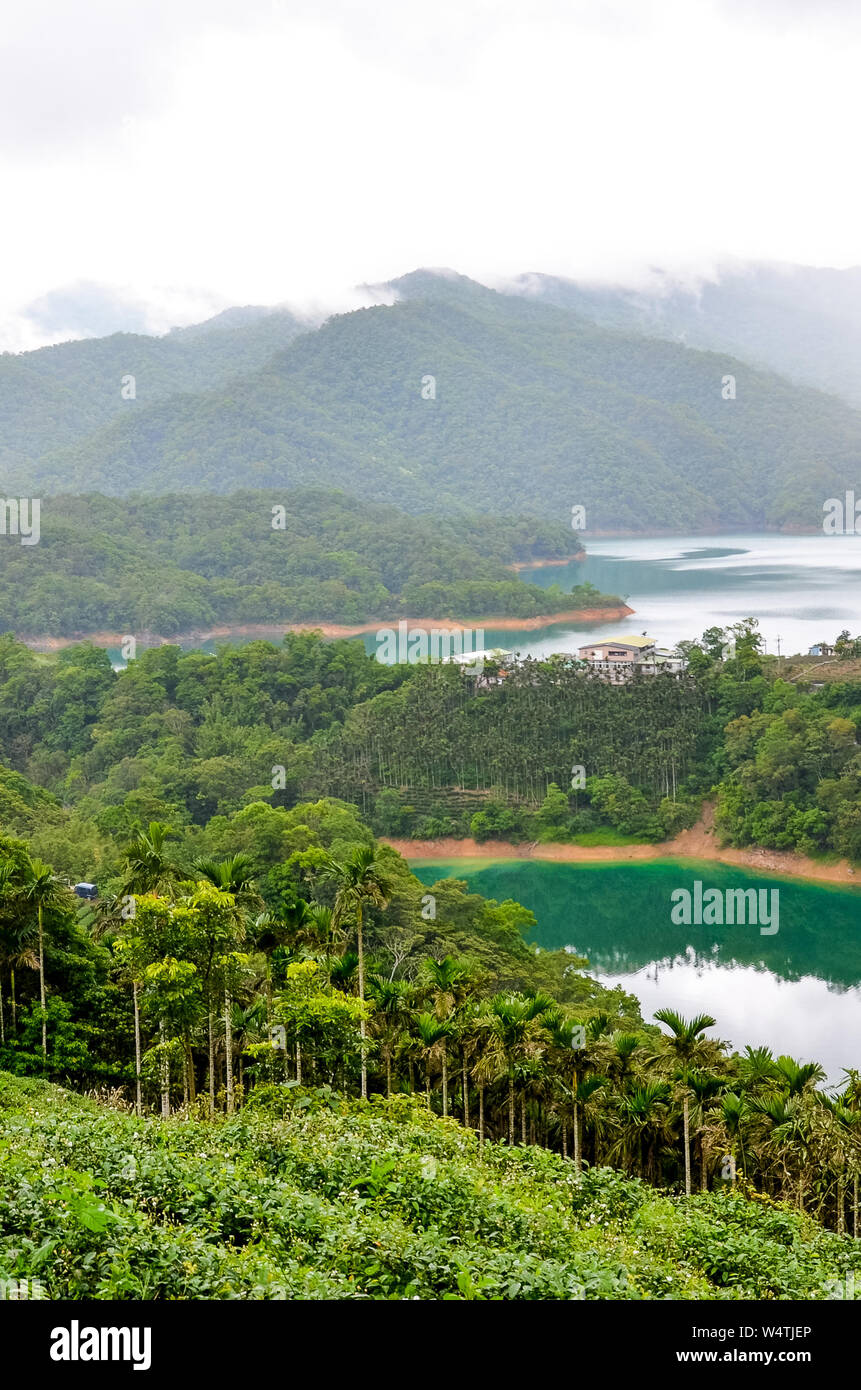 Fotografia verticale incredibile di mille isole del lago e le piantagioni di tè sulle piste adiacenti. Verde foresta tropicale intorno a. Misty meteo. Paesaggio cinese, in Asia. Foto Stock