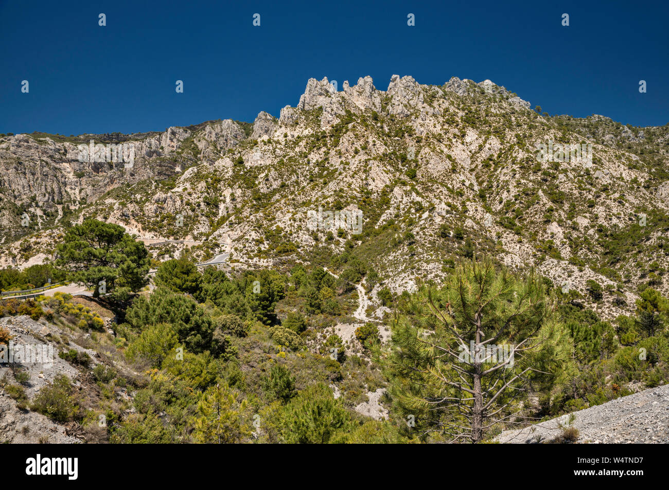 Affioramenti di montagna della Sierra del Chaparral gamma, provincia di Granada, Andalusia, Spagna Foto Stock