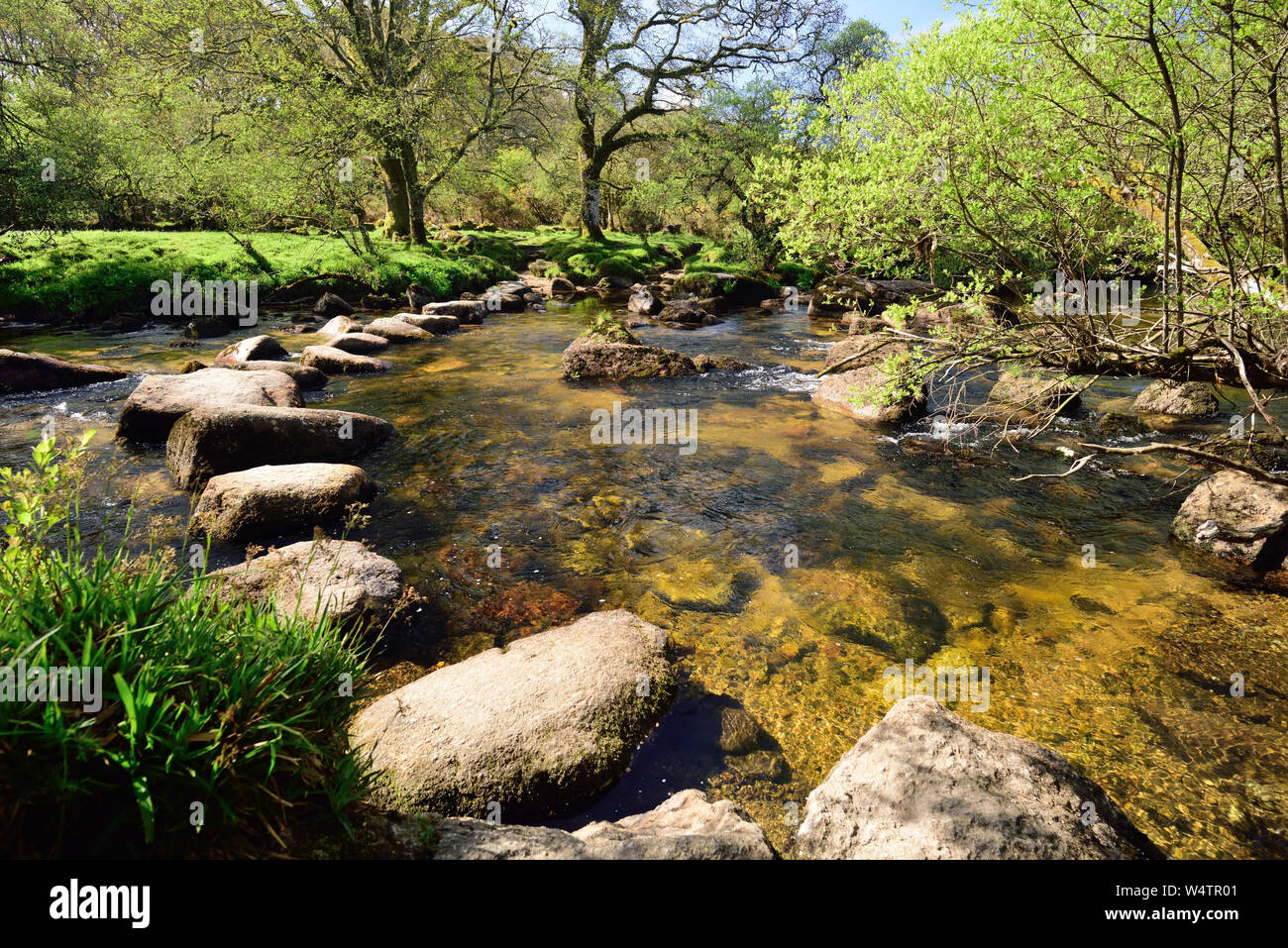 Pietre miliari attraverso il West Dart River a Dartmeet. Foto Stock