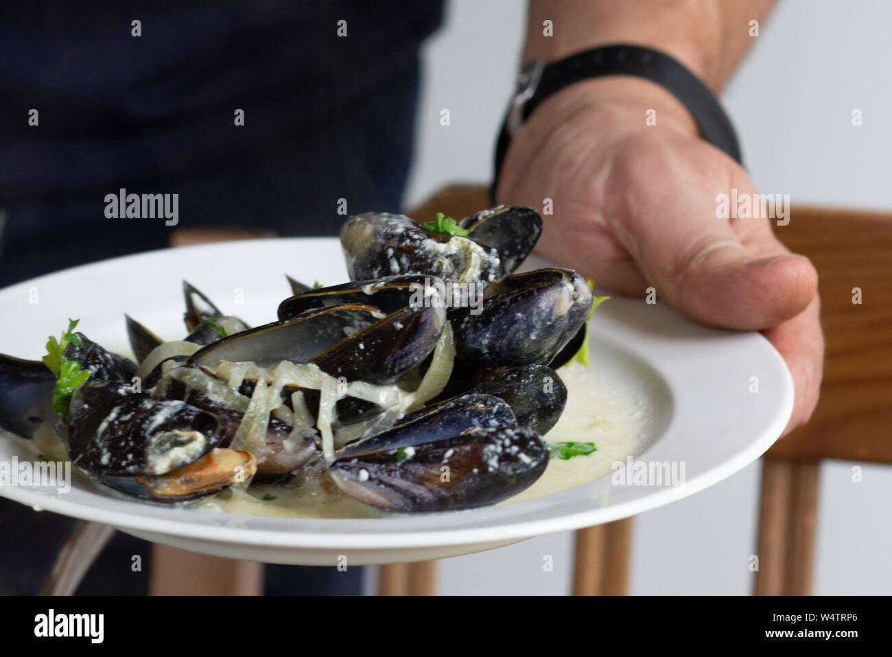 Cozze cotte nel vino e crema con verdi e cipolla servita su piastra bianca Foto Stock