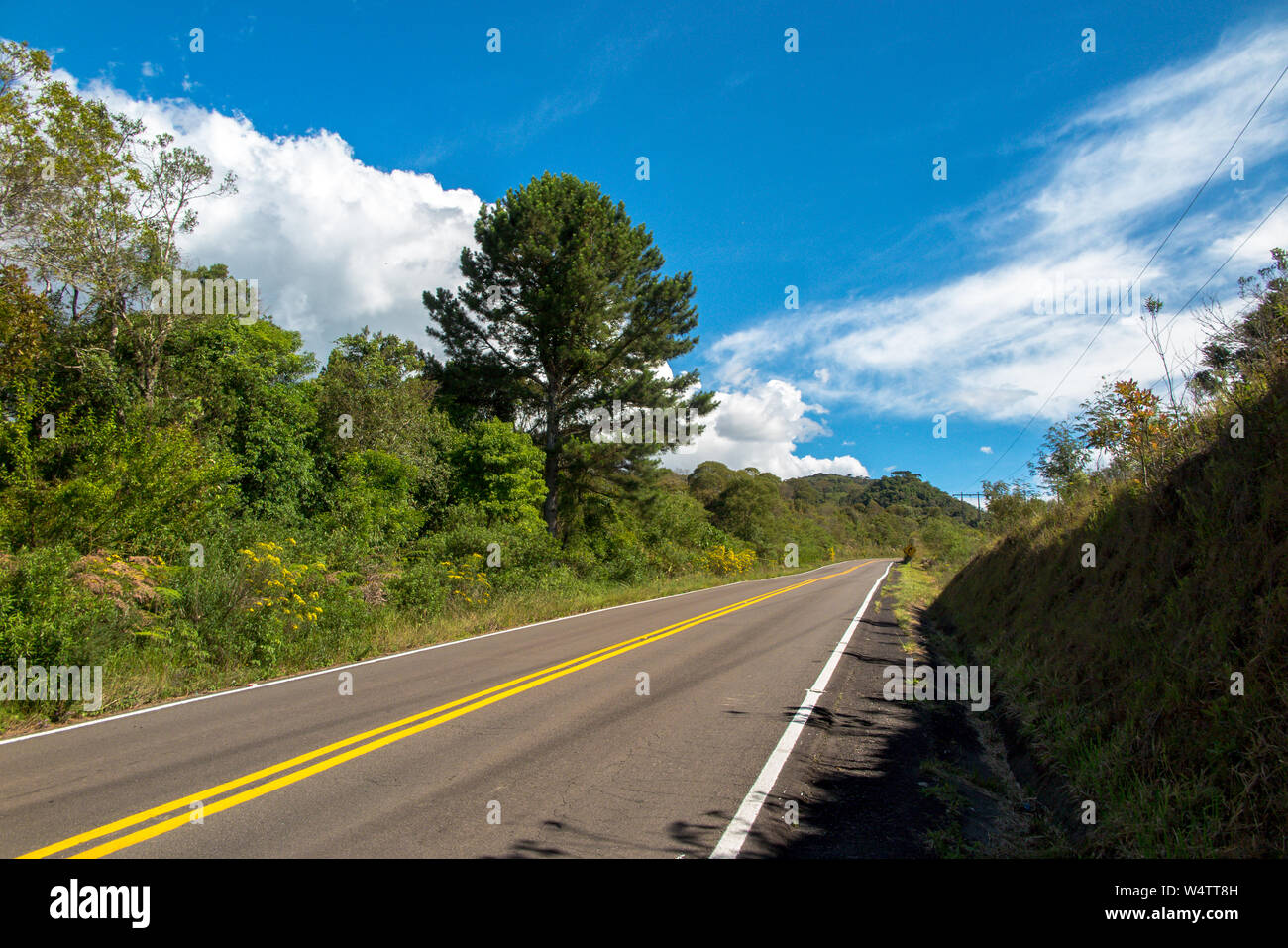 Nuova strada asfaltata con foresta sui fianchi e blu cielo con poche nuvole Foto Stock