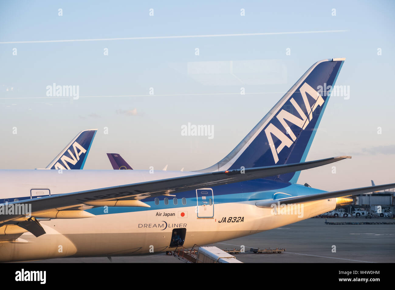 Chiba, Giappone - 24 Marzo 2019: Vista di ANA o All Nippon Airways piano, la più grande compagnia aerea in Giappone sulla base delle dimensioni della flotta, parcheggio a Narita Int Foto Stock