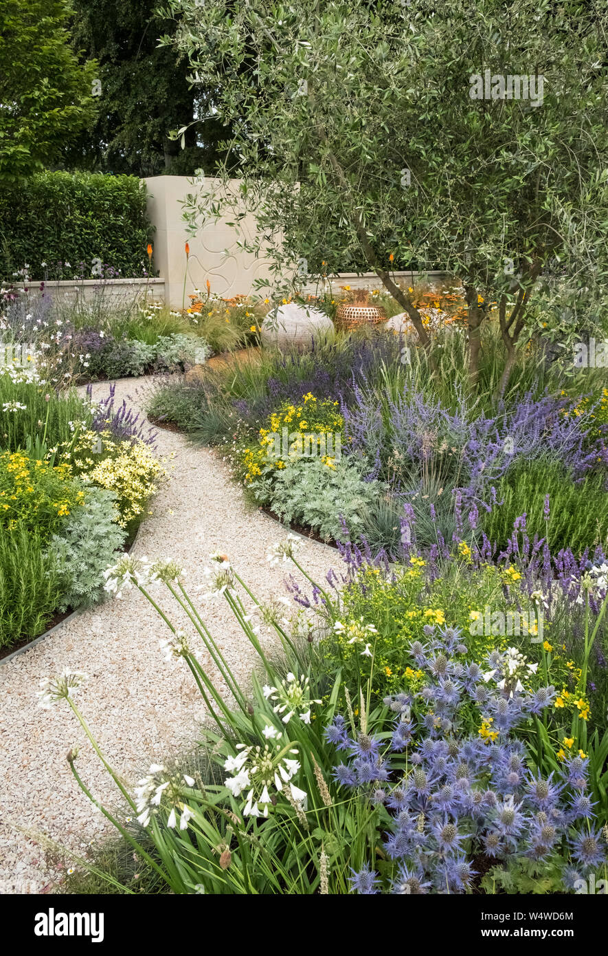 Visualizza Giardino a Tatton Park flower show, luglio 2019, con letti perenne compresi Eryngium, lavanda e piante Agapanthus e sentiero di ghiaia. Foto Stock