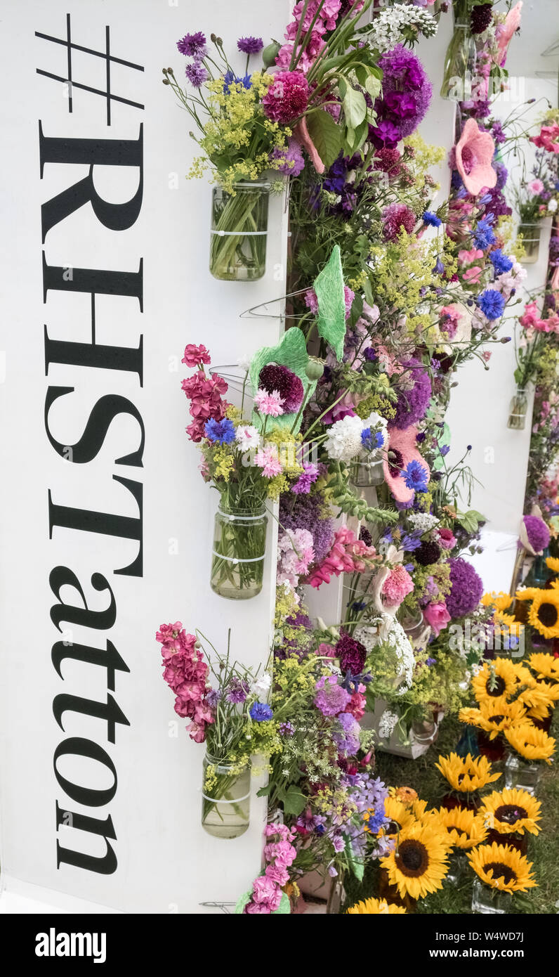 Fiori recisi display a RHS Tatton Park flower show, luglio 2019, Inghilterra, Regno Unito Foto Stock