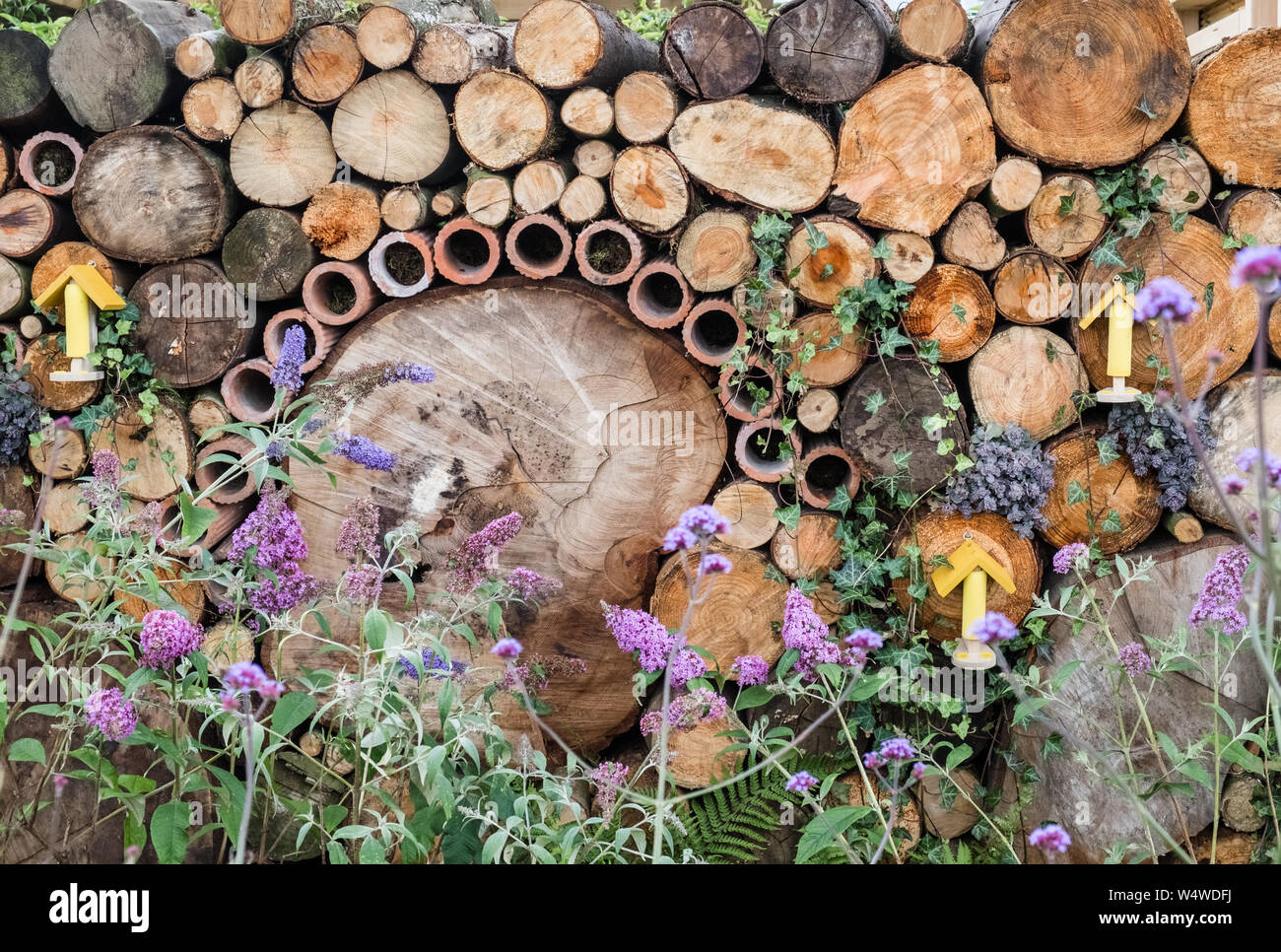 Visualizza Giardino a Tatton Park Flower Show, 2019, incorporante wildlife friendly funzioni come tronchi di legno e canne di bambù per insetti, Cheshire, Regno Unito Foto Stock