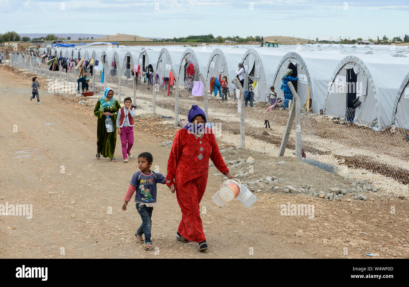 Turchia, Suruc,10 km dalla frontiera siriana e da è stato islamico assediata città Kobani, siriani rifugiati da Kobane nel campo profughi / TUERKEI, Suruc, 10 km entfernt von der syrischen Grenze und der vom è belagerten Stadt Kobani, syrische Fluechtlinge aus Kobane in einem Fluechtlingslager Foto Stock