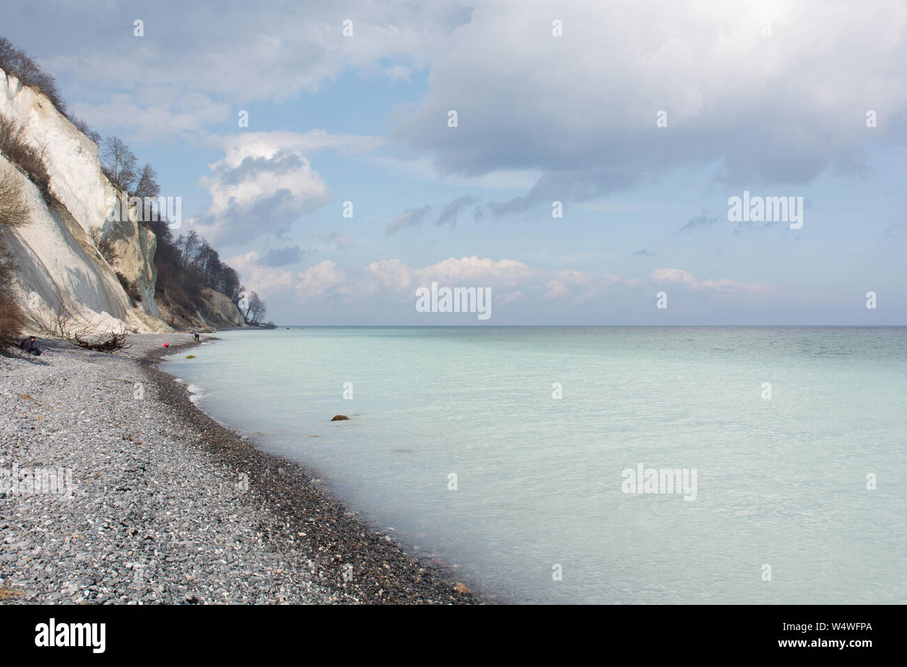 Chalk cliff paesaggio su Moens Klint in Danimarca Foto Stock