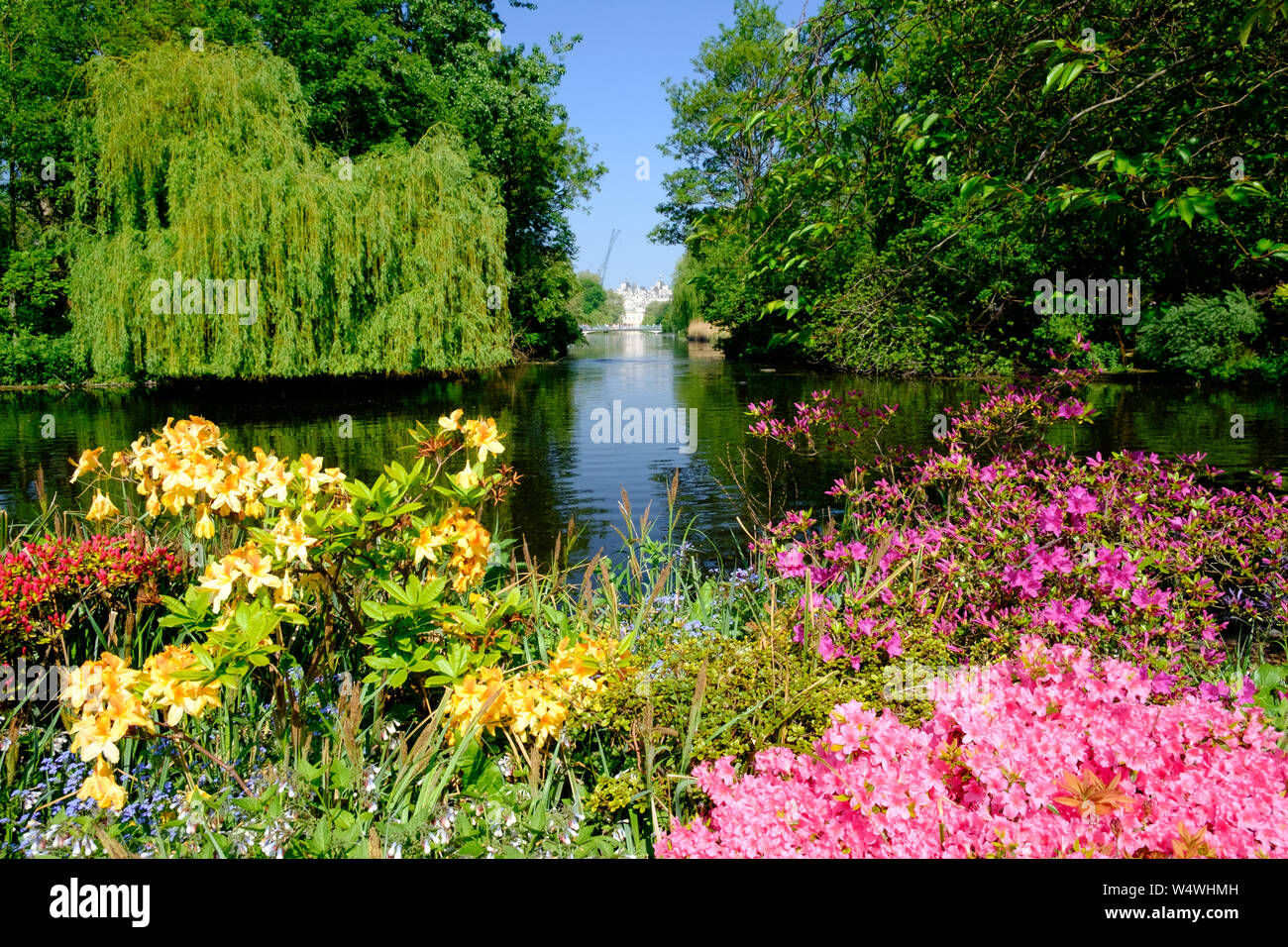 Fiori colorati in primo piano di St James Park Lake, Londra Centrale, con il ponte blu e la sfilata delle Guardie a Cavallo in background. Foto Stock