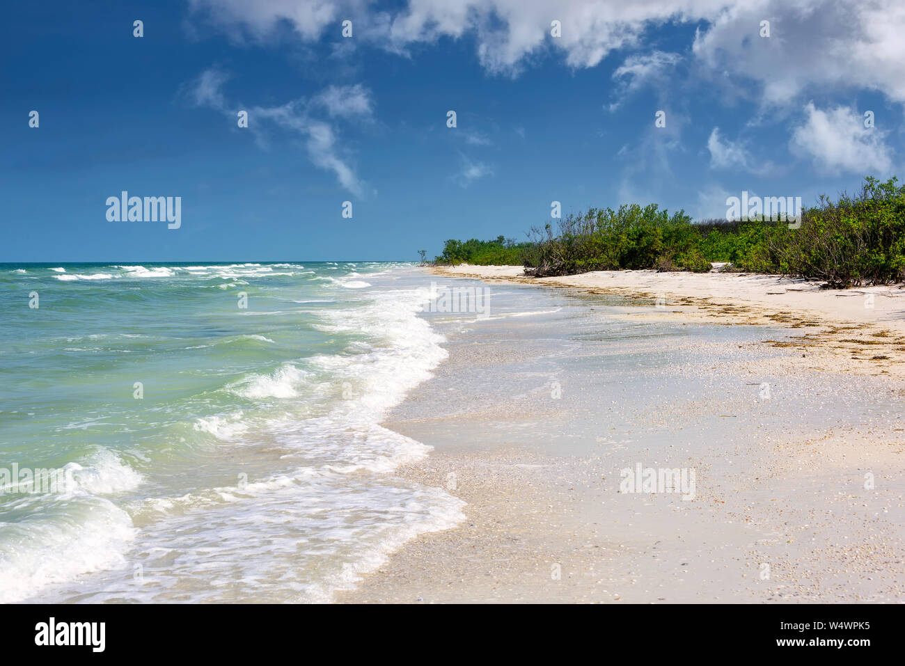 Cieli soleggiati e bellissime spiagge di Clearwater, Florida, sul Golfo del Messico Foto Stock