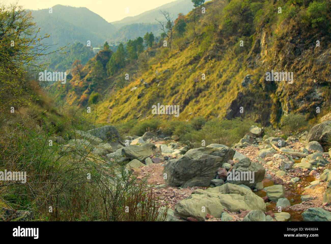 Fiume di montagna in inverno bassa periodo d'acqua. Valle dell'Himalaya Foto Stock