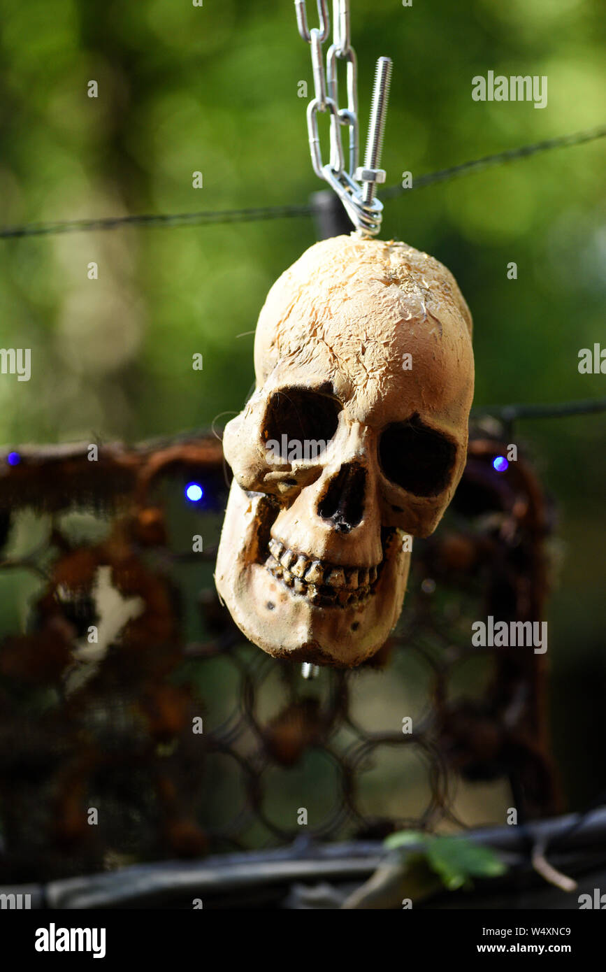 Post-apocalittico cranio. Foto Stock