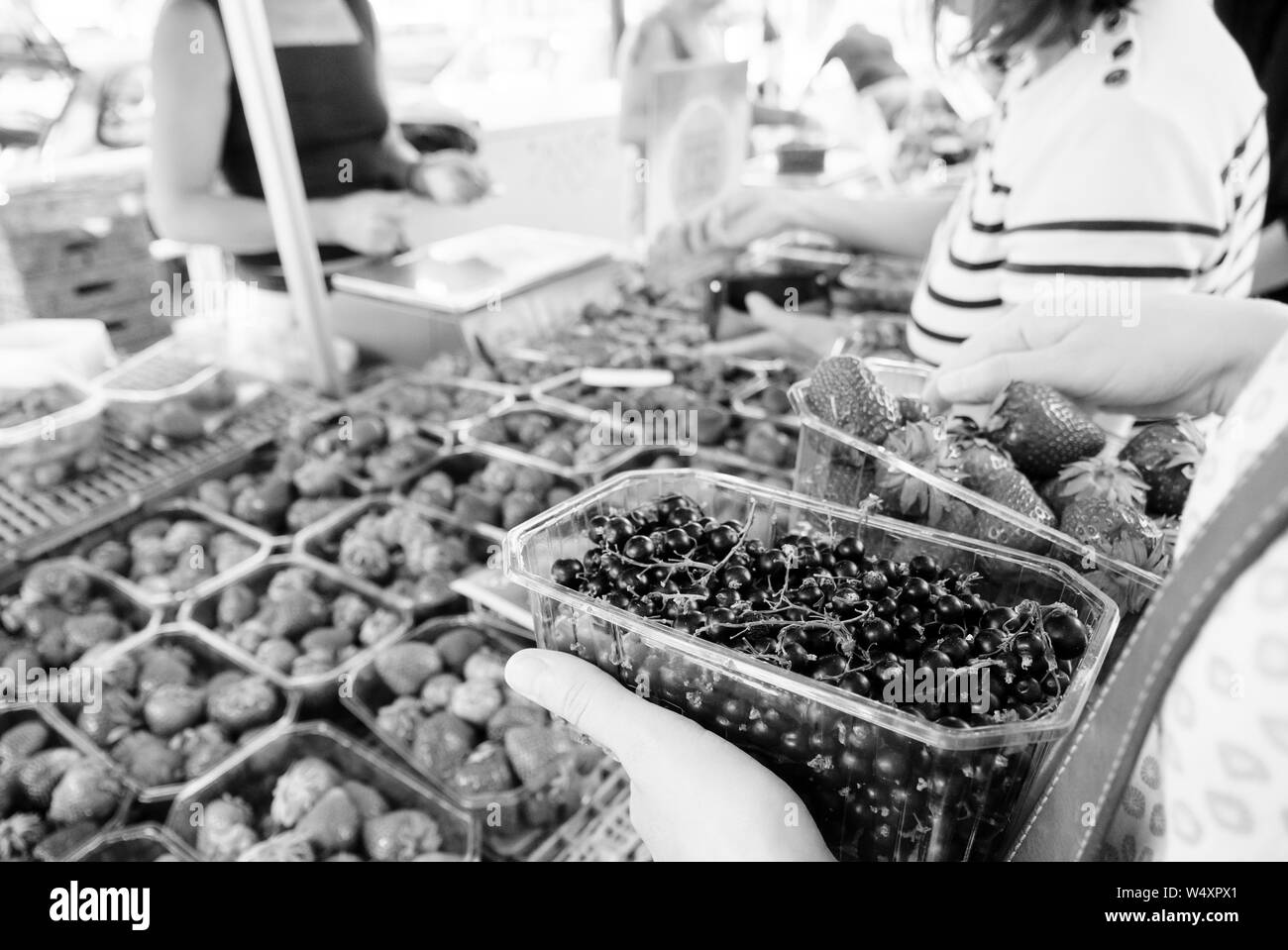 Donna francese shopping di ribes freschi e fragole su local farmers market - organici bio cibo raccolti nei villaggi francesi immagine in bianco e nero Foto Stock