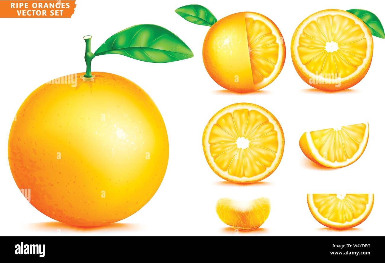 Frutta di arancia mature realistiche in 3D Vector cibo Set. Tutta la metà e tagliate a fette in versione isolata Sfondo bianco Illustrazione Vettoriale