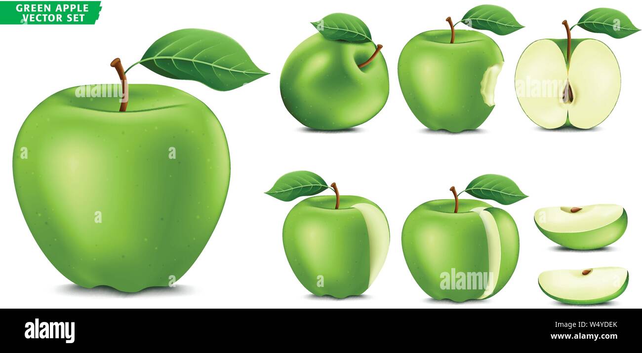 Verde mela frutto maturo realistiche in 3D vettore alimentare Set. Tutta la metà e tagliate a fette in versione isolata Sfondo bianco Illustrazione Vettoriale