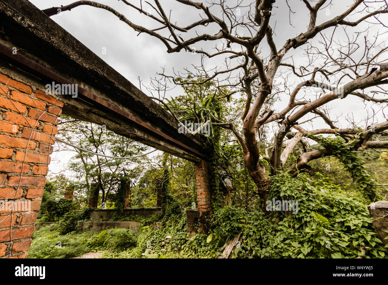 Le rovine della serra abbandonata vicino alla Nostra Signora della Gioia Abbazia, l'Isola di Lantau, Hong Kong Foto Stock
