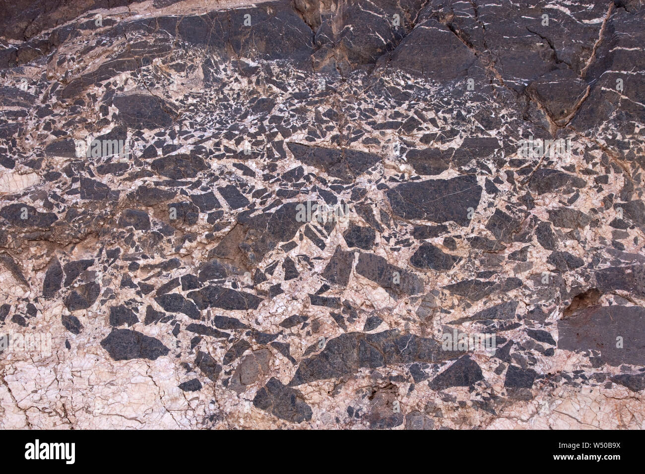 Breccia sedimentaria, fatta di frammenti di pietra calcarea e una matrice di calcite, esposta in una parete del canyon nella Death Valley, CA. La foto è di circa 4 metri acros Foto Stock