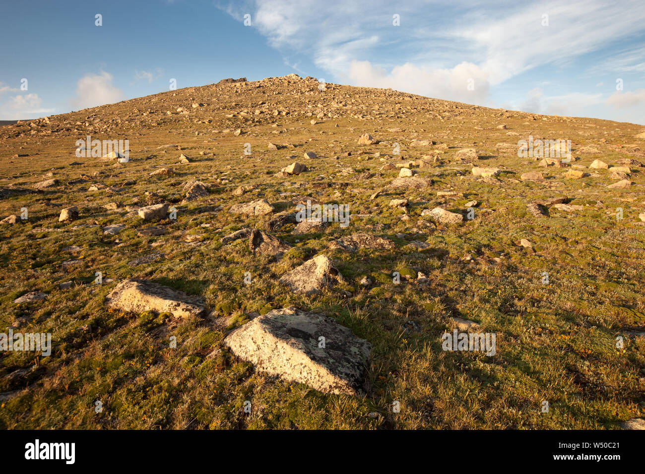 Rottura di massi sulla tundra alpina -- rotto da exmpansion provocati da gelo-l'incuneamento, Rocky Mountain National Park, COLORADO, Stati Uniti d'America Foto Stock