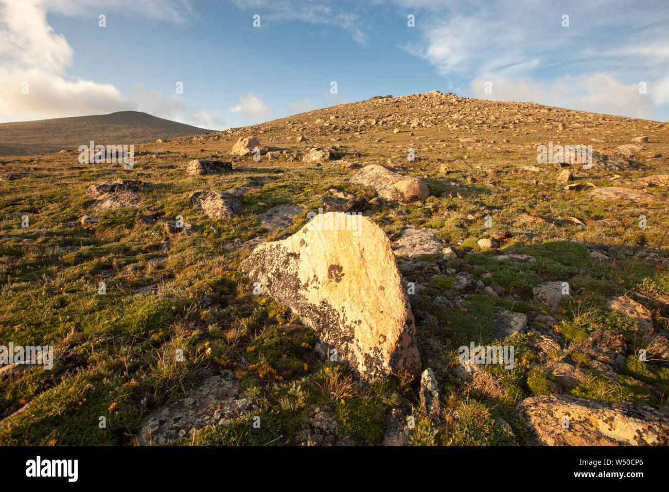 Rottura di massi sulla tundra alpina -- rotto da exmpansion provocati da gelo-l'incuneamento, Rocky Mountain National Park, COLORADO, Stati Uniti d'America Foto Stock
