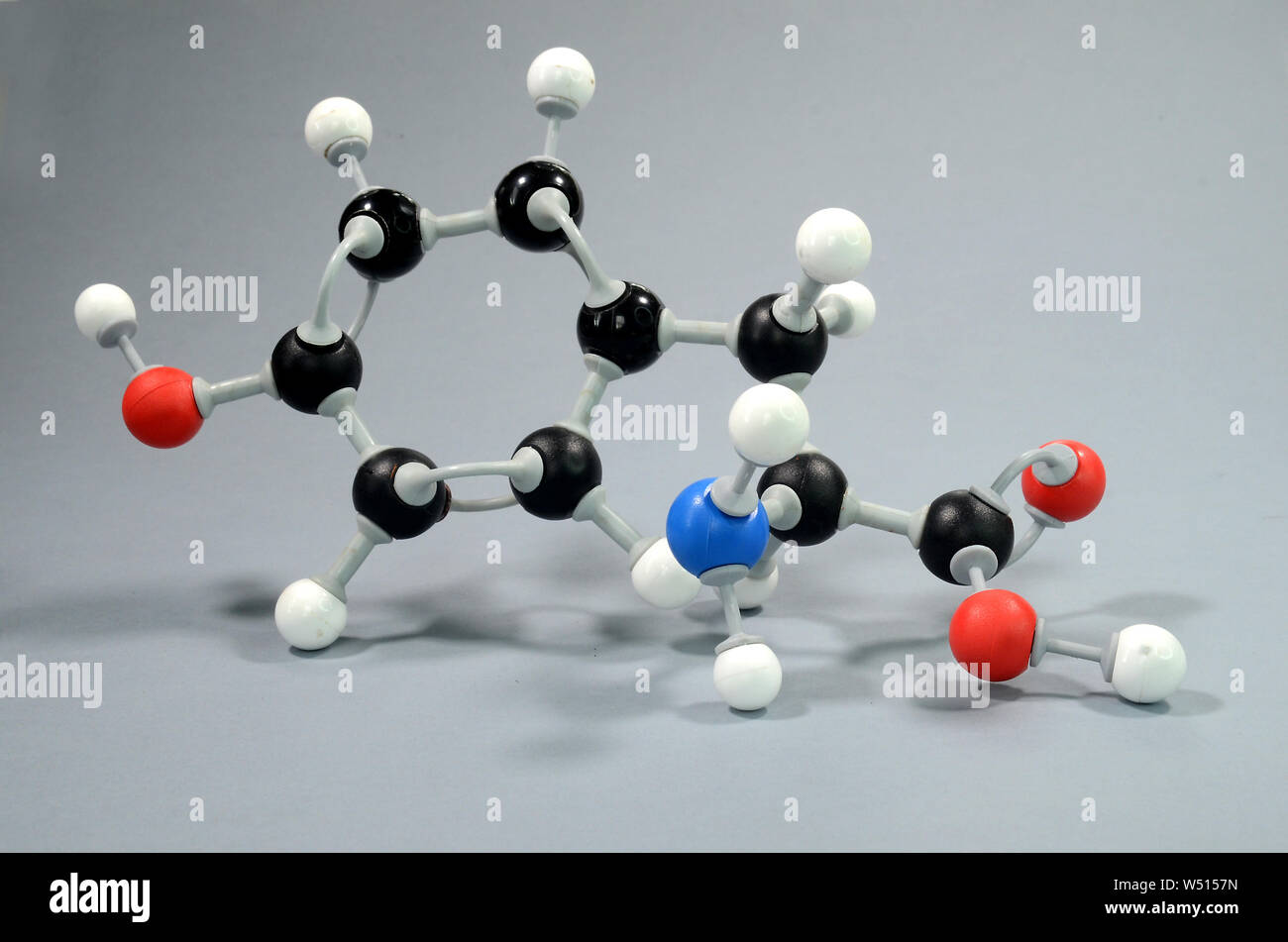 Modello di molecola di 4-hydroxyphenylalanine, un comune di ammino acido. Il nero è il carbonio, rosso è ossigeno, bianco è idrogeno, Blu è Nirogen Foto Stock