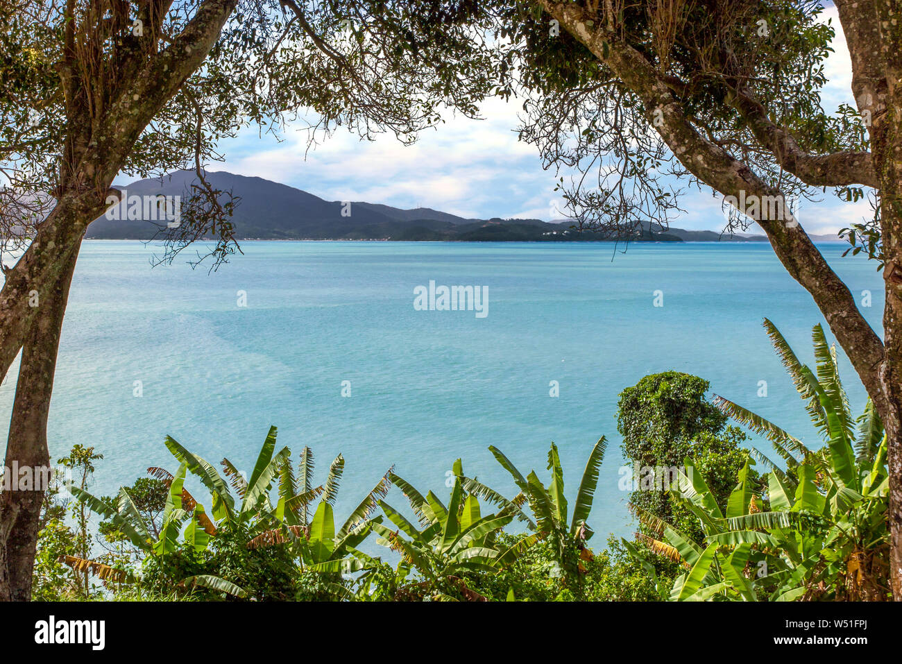 Vista del mare blu, da theFortress Sao Jose da Ponta Grossa, con alberi di banane, gli alberi e le montagne sullo sfondo, Florianopolis, Santa Catari Foto Stock