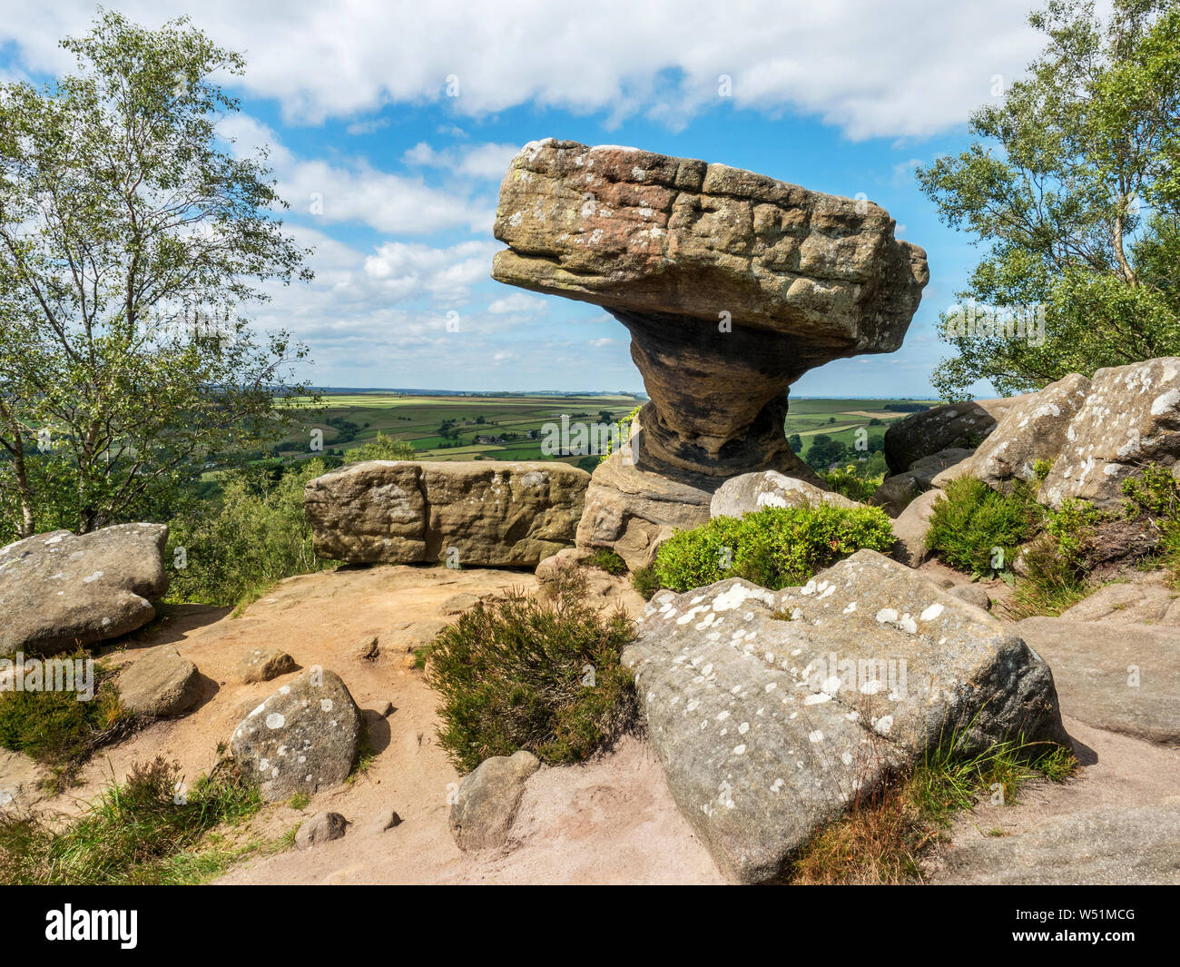 I Druidi Scrivania gritstone formazioni rocciose a Brimham rocce vicino Summerbridge Nidderdale North Yorkshire, Inghilterra Foto Stock