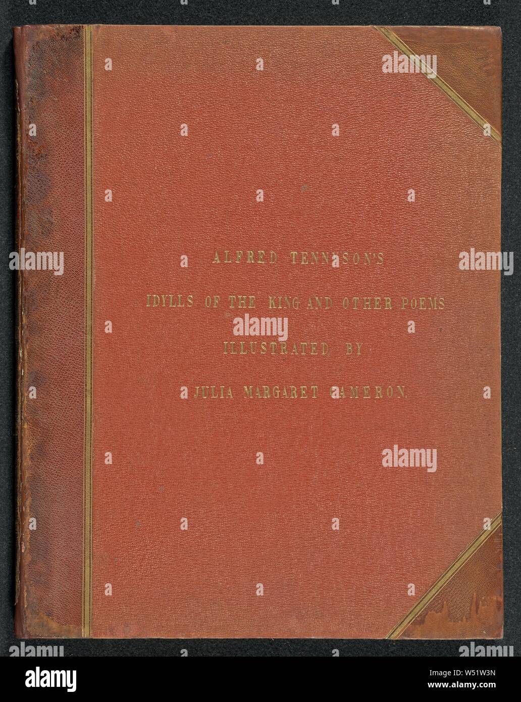 Illustrazioni di Tennyson's Idilli del re, ed altre poesie, Julia Margaret Cameron (British, nato in India, 1815 - 1879), Londra, Inghilterra, 1875, albume silver stampa, chiuso: 44,7 × 35,5 × 2,4 cm (17 5/8 × 14 × 15/16 in Foto Stock