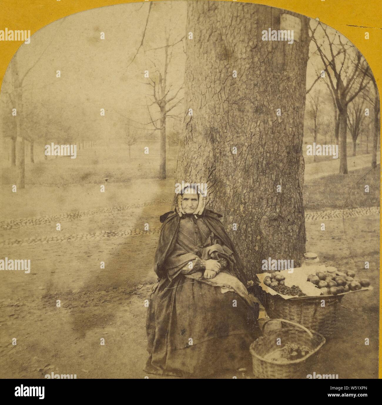 Applewoman. Boston Common., Edward L. Allen (American, attivo 1860 - 1890S), circa 1865-1875, albume silver stampa Foto Stock