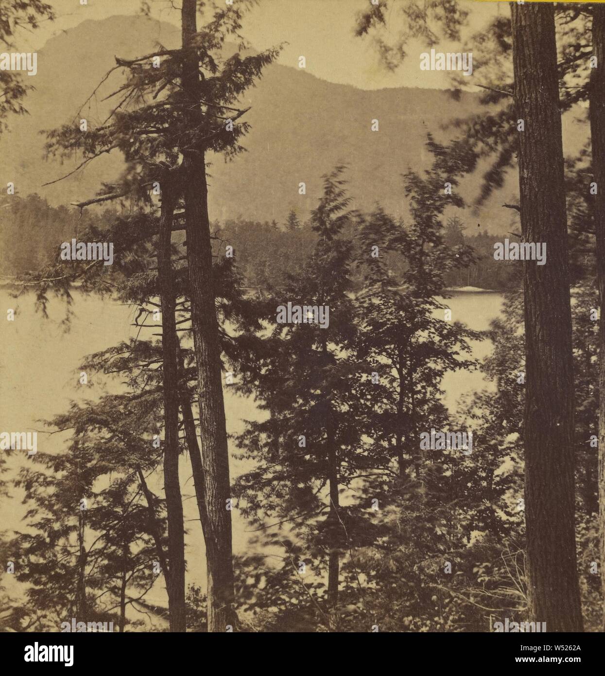 Vista del gufo di testa dalla Foresta Vicino Laird battuta del. Lago e Long Island in primo piano., Daniel A. Clifford (American, 1826 - 1887), 1860s, albume silver stampa Foto Stock