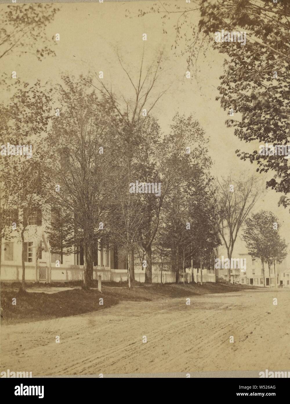 Bank Street, Libano, New Hampshire, William W. Culver (American, 1834 - 1927, 1860s, albume silver stampa Foto Stock