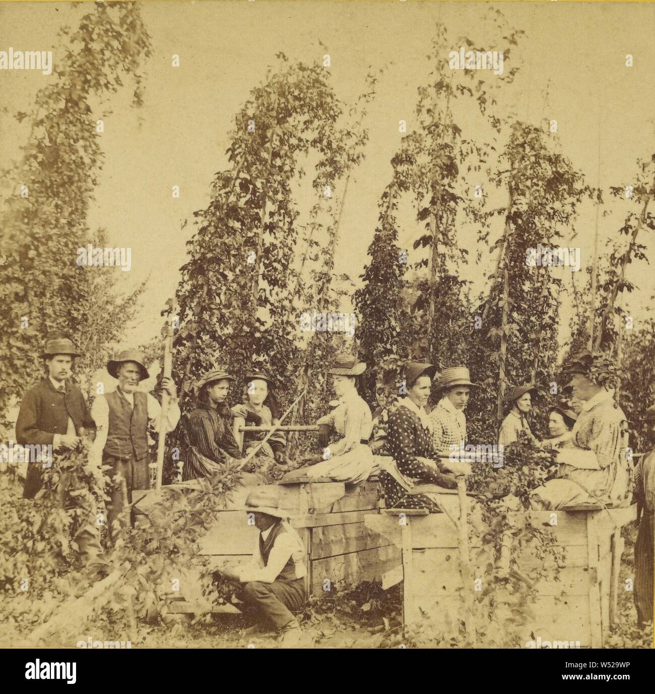 I raccoglitori di luppolo., Benjamin West Kilburn (American, 1827 - 1909), circa 1870, albume silver stampa Foto Stock